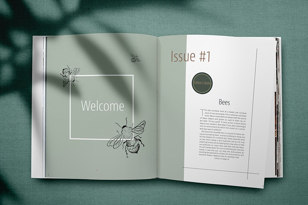 welcome sprig spread.jpg