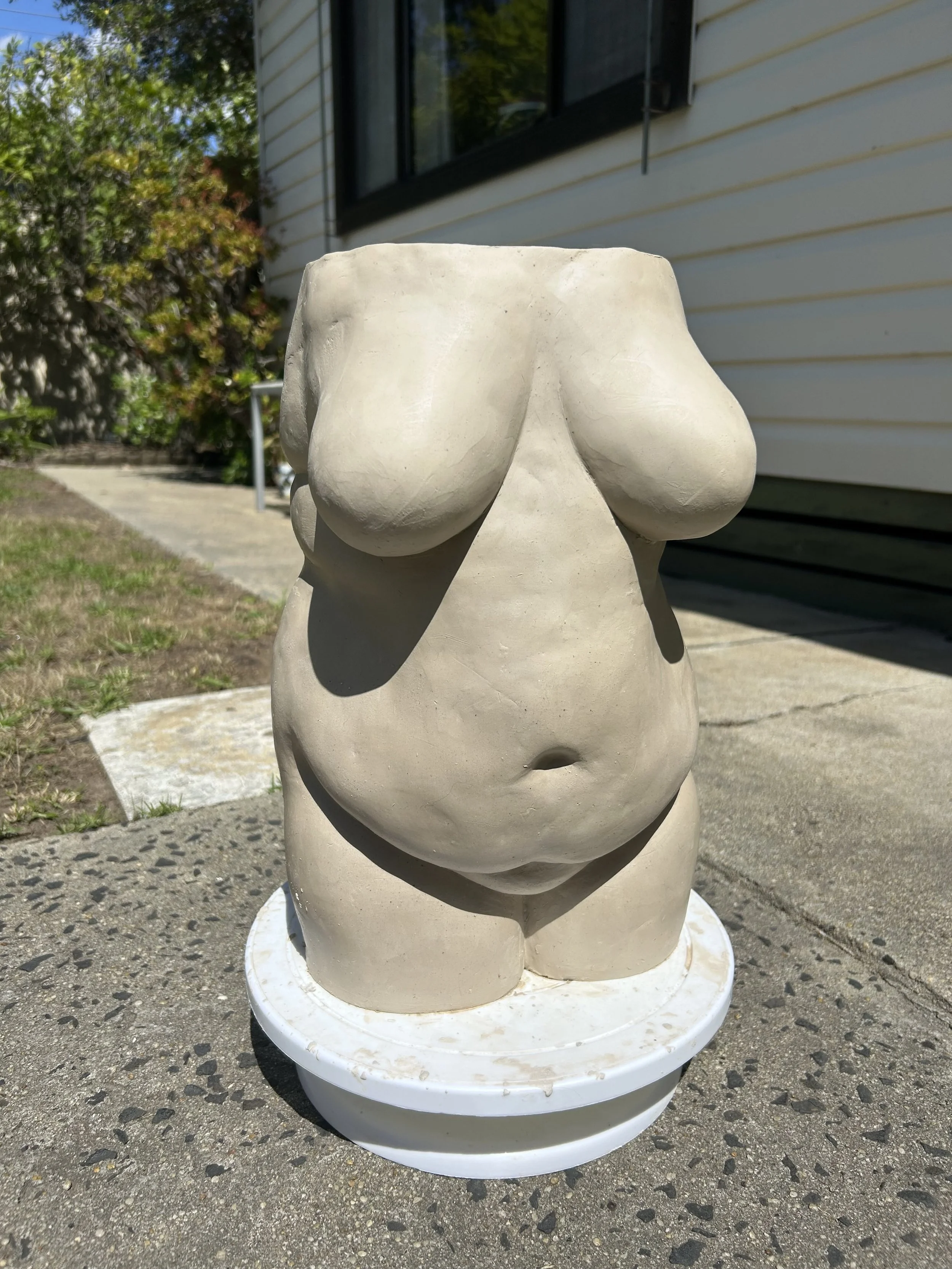 Jessie James _Flesh_2026.jpg