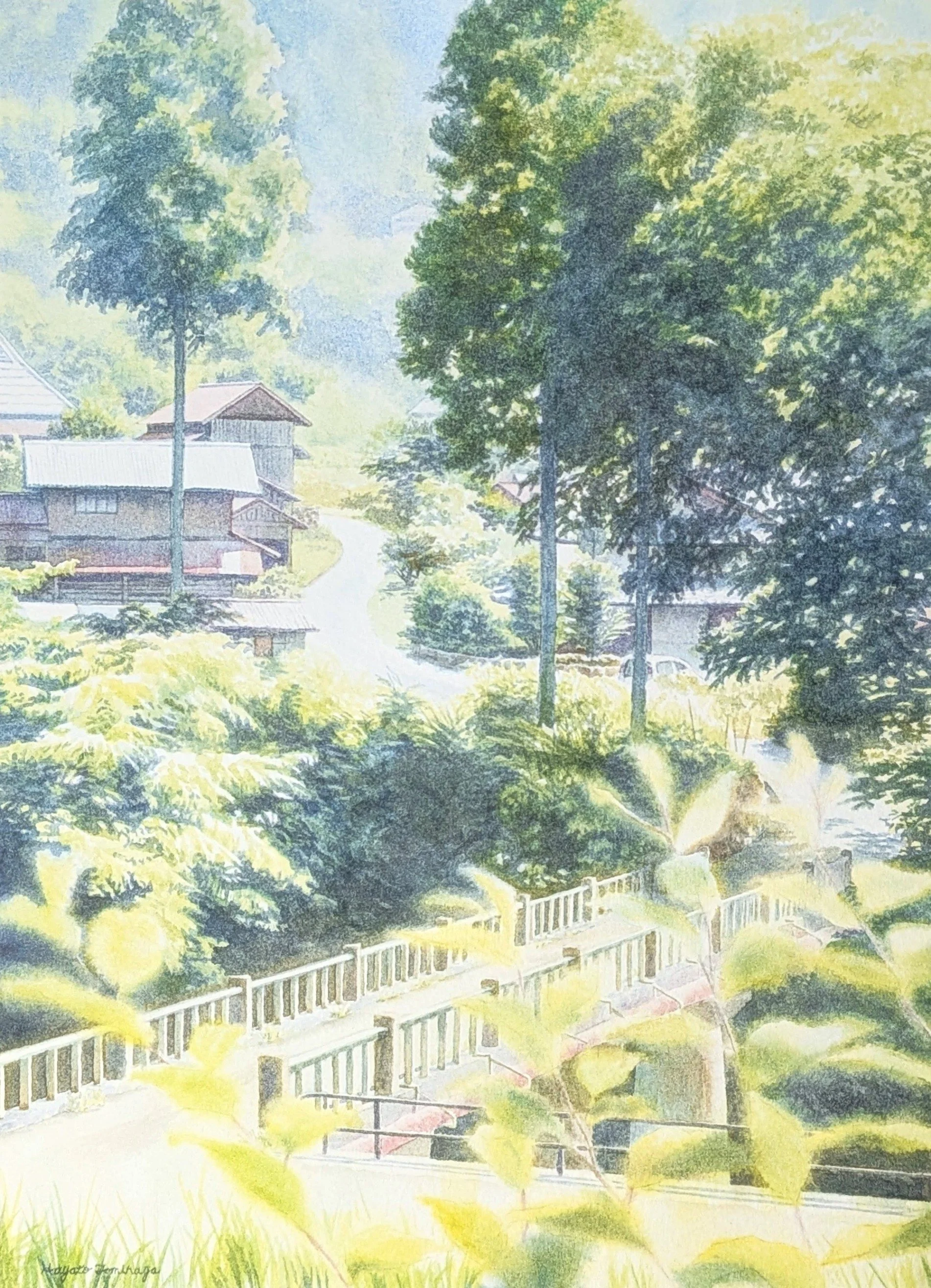 Into the Summer