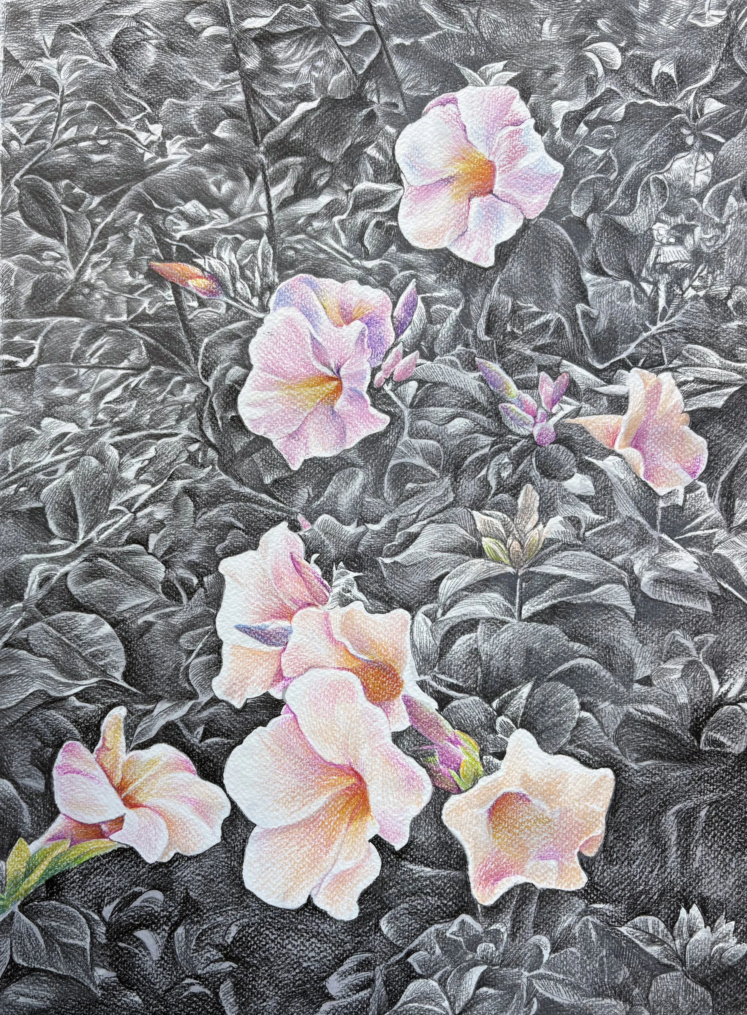 Untitled 26