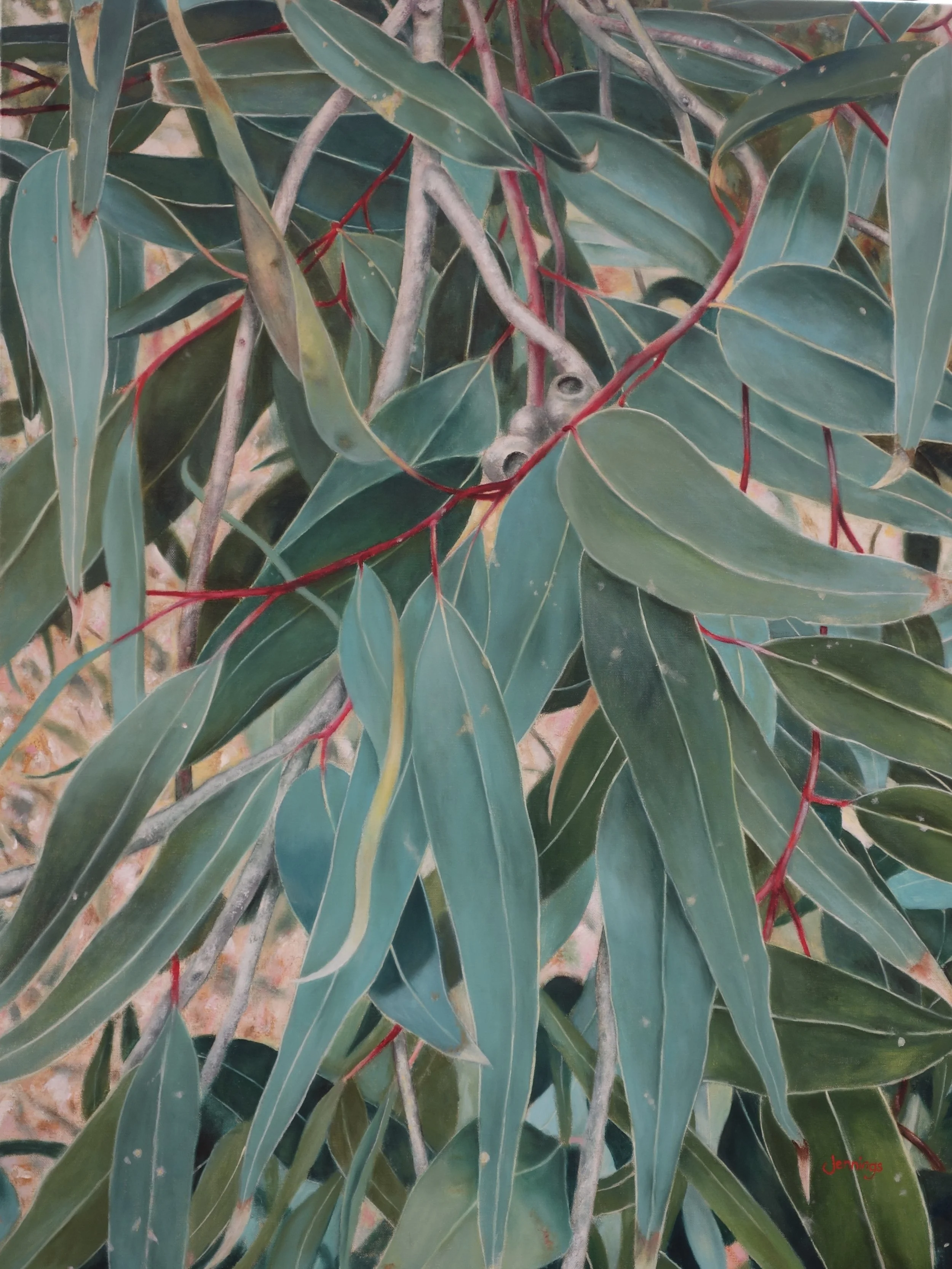 Eucalypt: Pink Dusk II