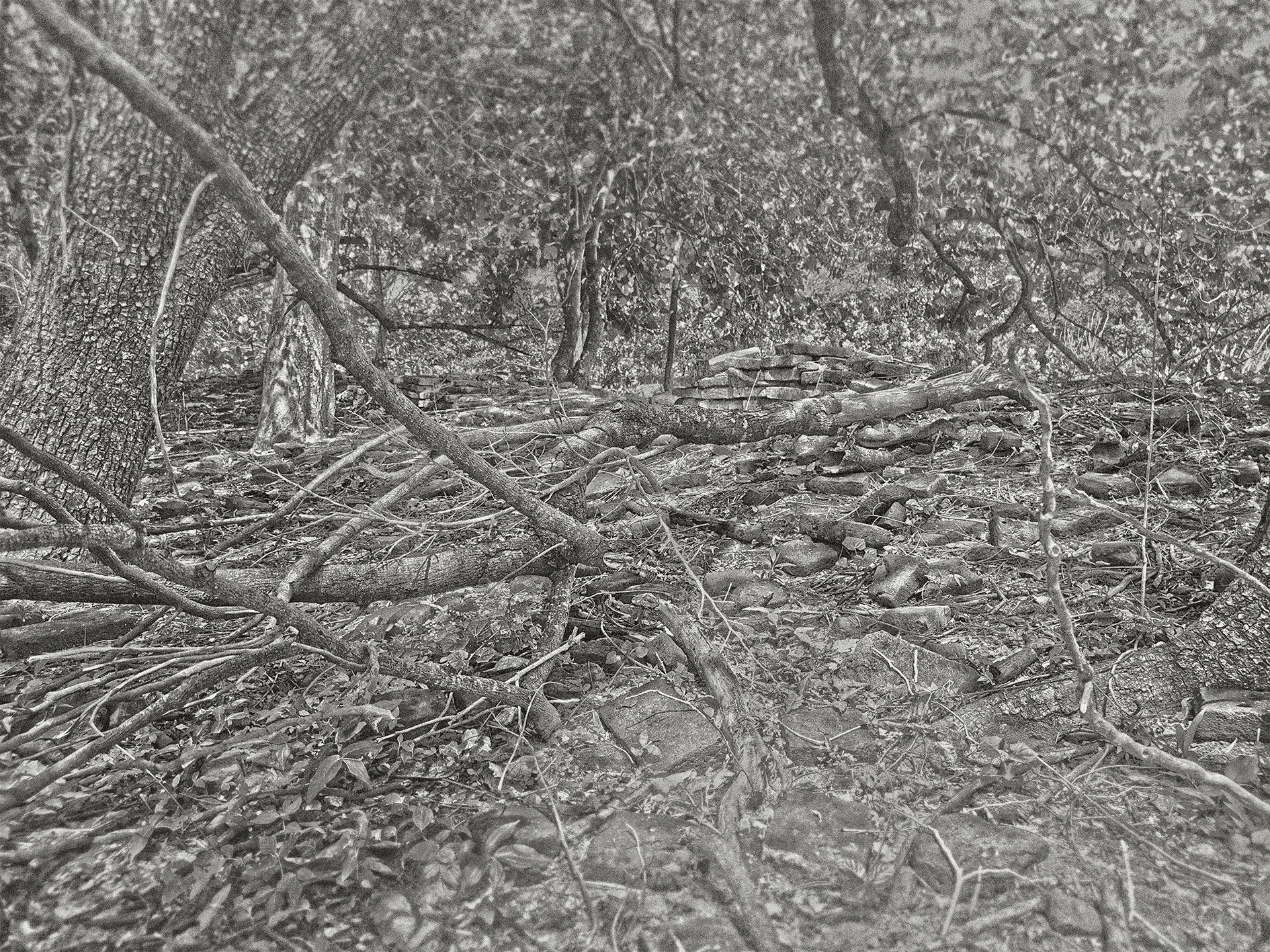Wannuchad Likitmarnon - Sappaya: The remained area Vol.22