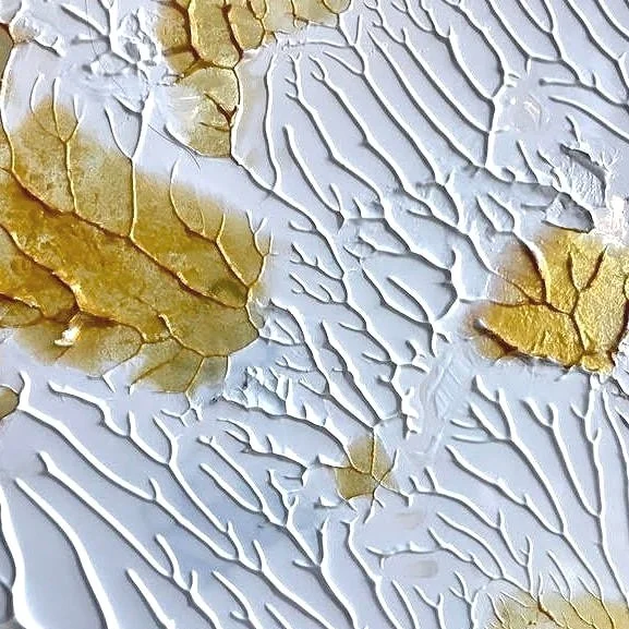 Window Exhibit - Andrea Hughes