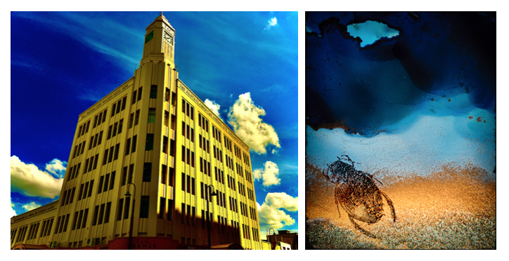 RICHARD HARRIS &amp; CORALIE SNEDDON