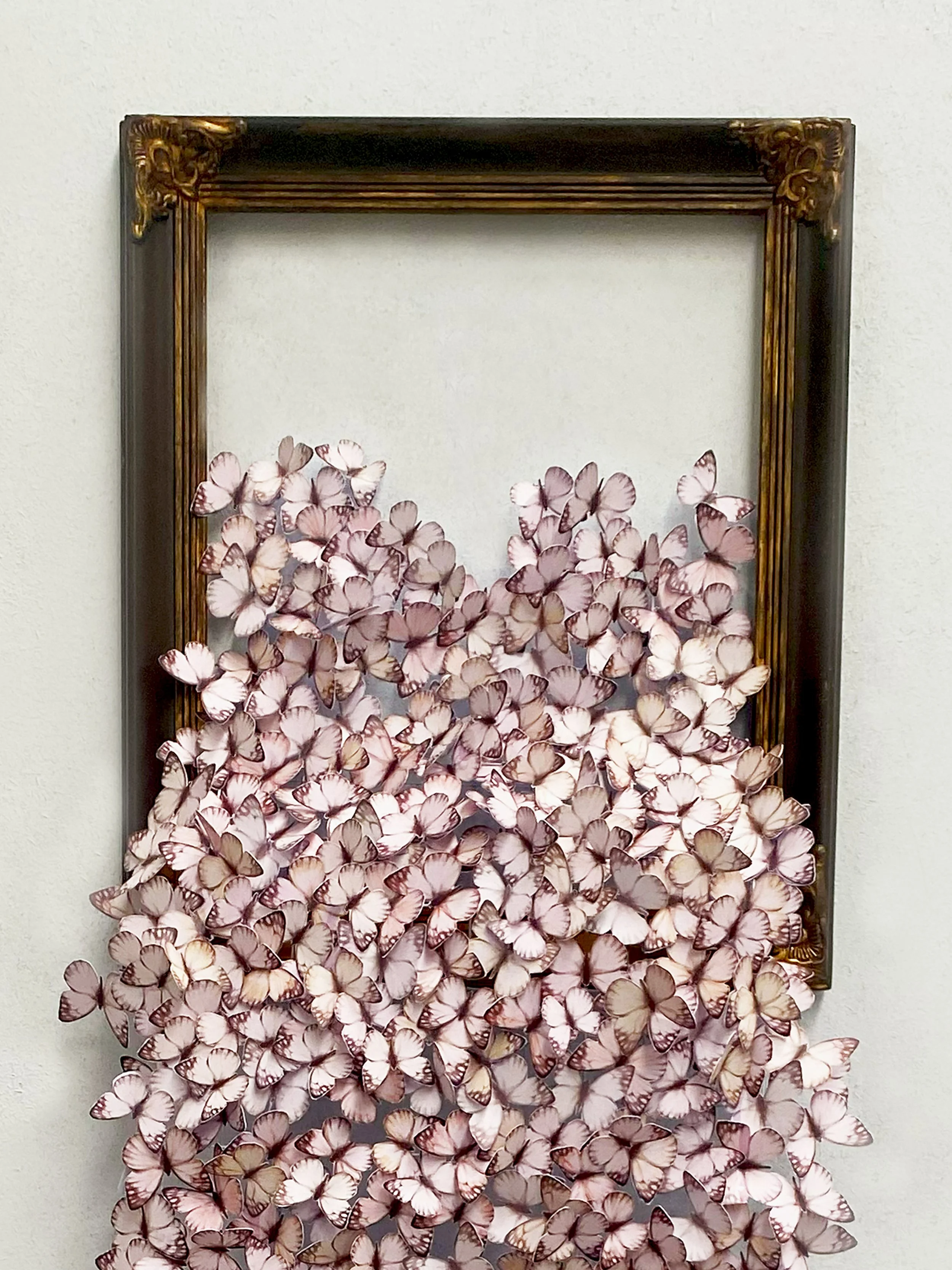 JEN SELMORE