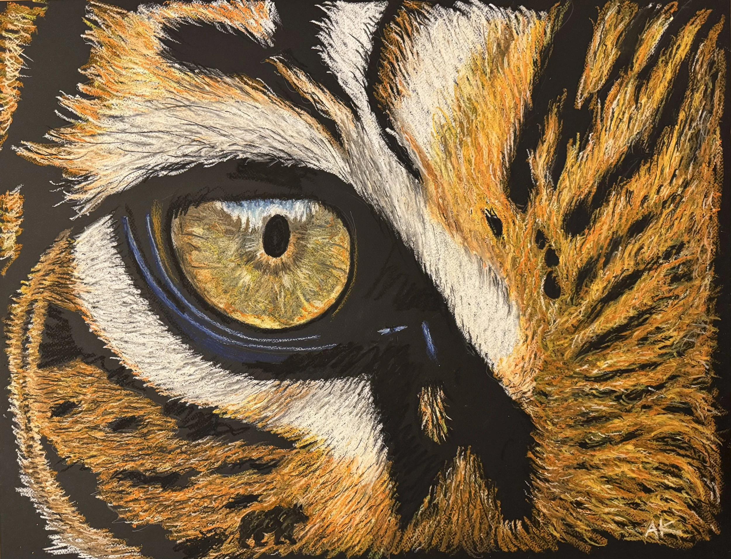 Hiding in Plain Sight artwork A Koomen .jpg