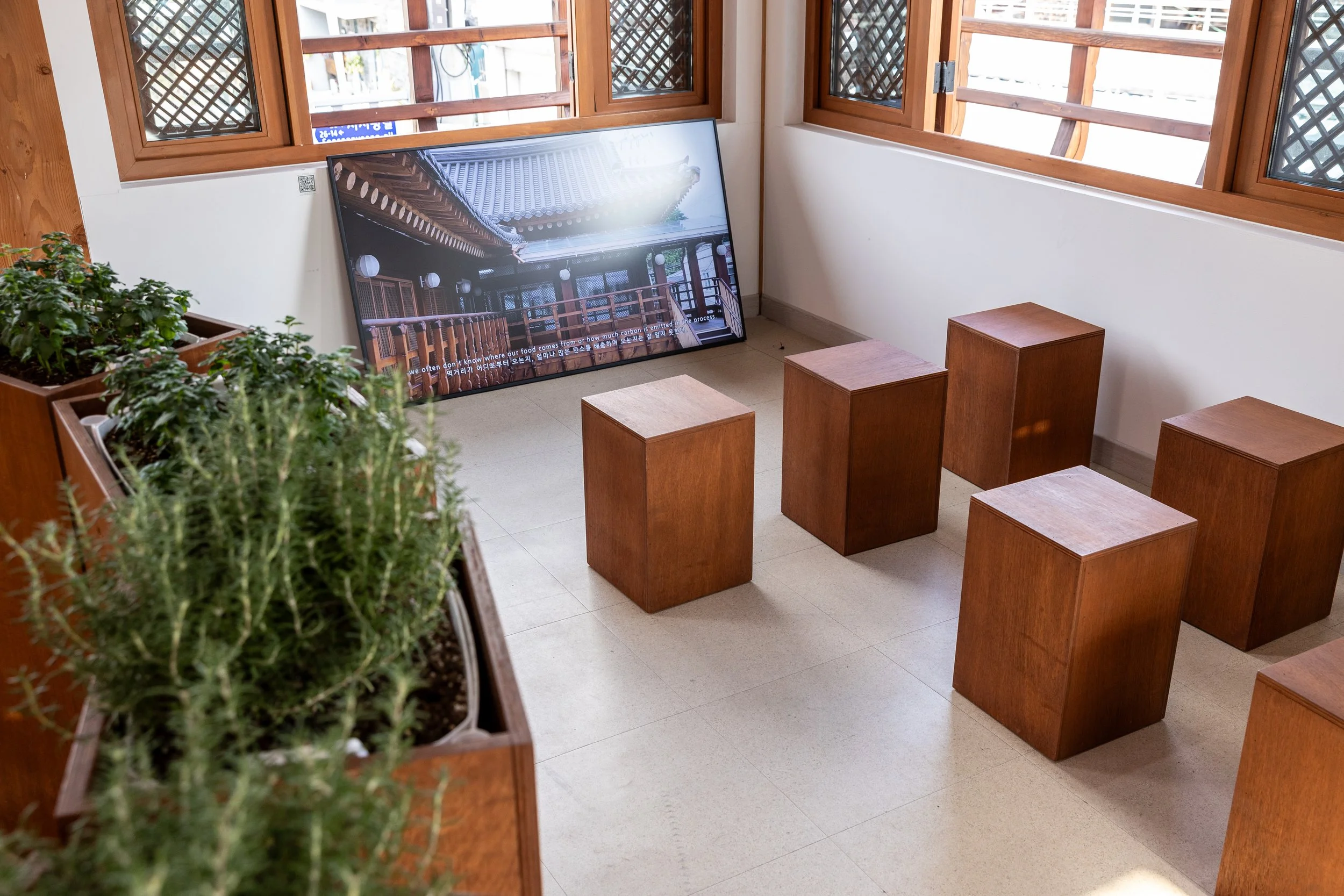 3. 2004 Gwangju Biennale.jpeg