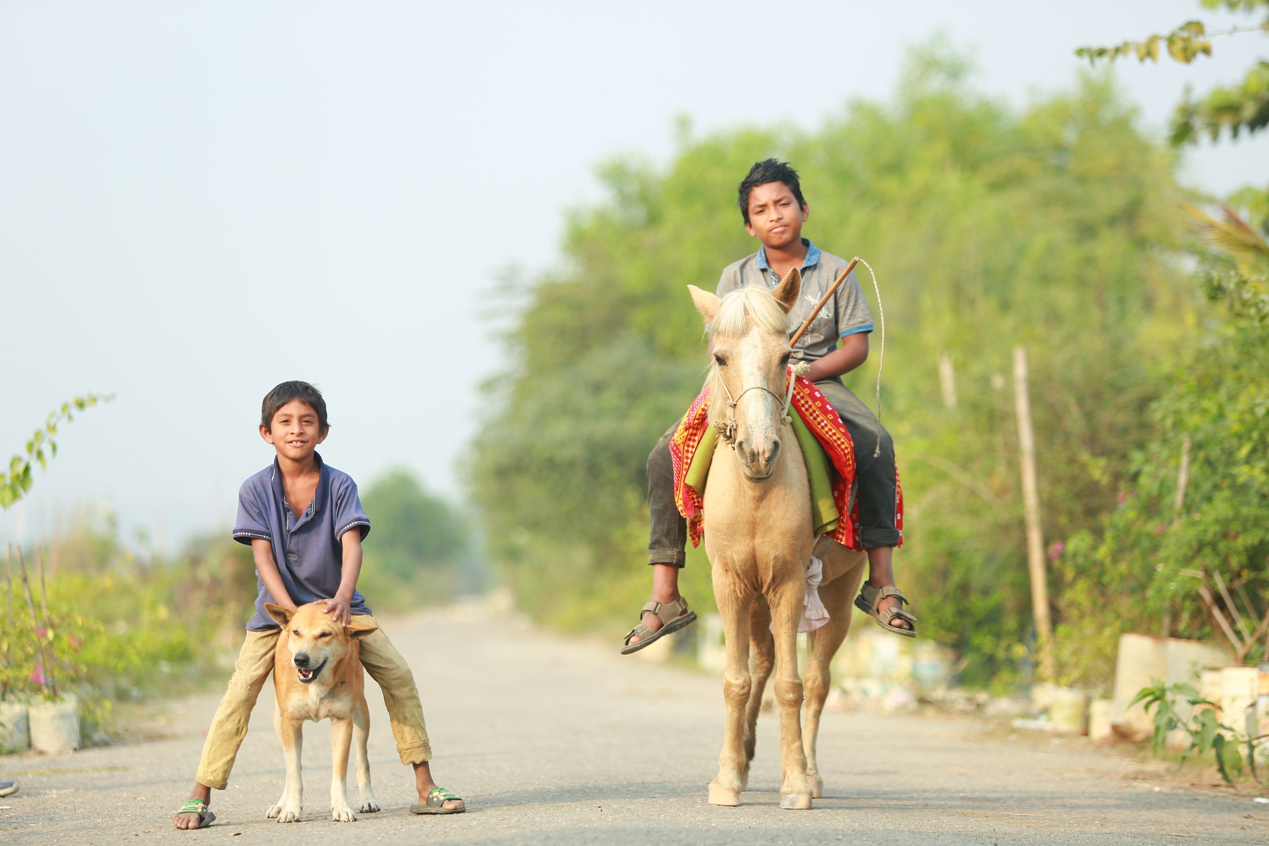 1. Parallel Journeys.jpeg