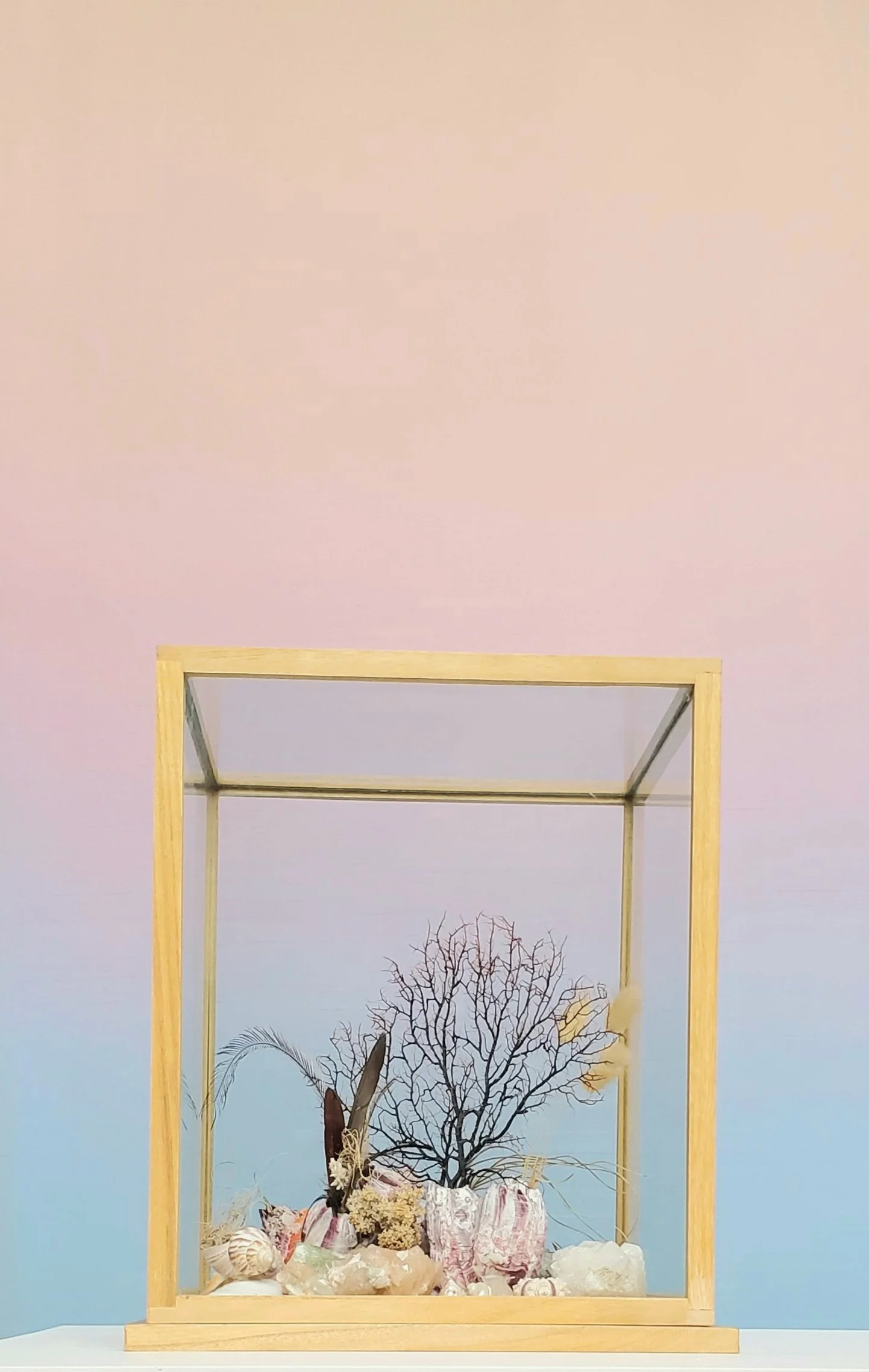 The Worlds We Share_Katia Ksr and Britt Silvester.jpg