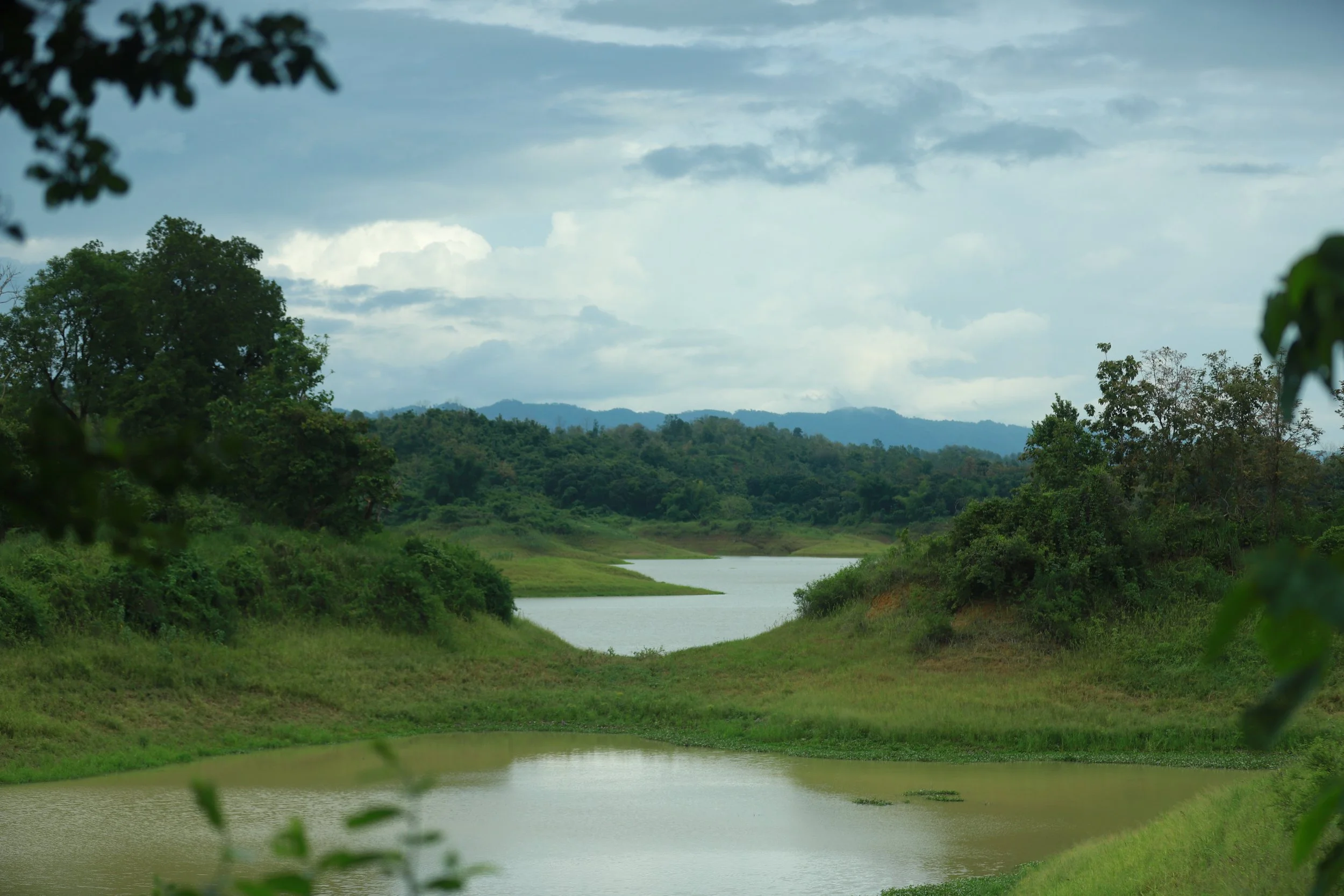 BENGAL STORYTELLERS