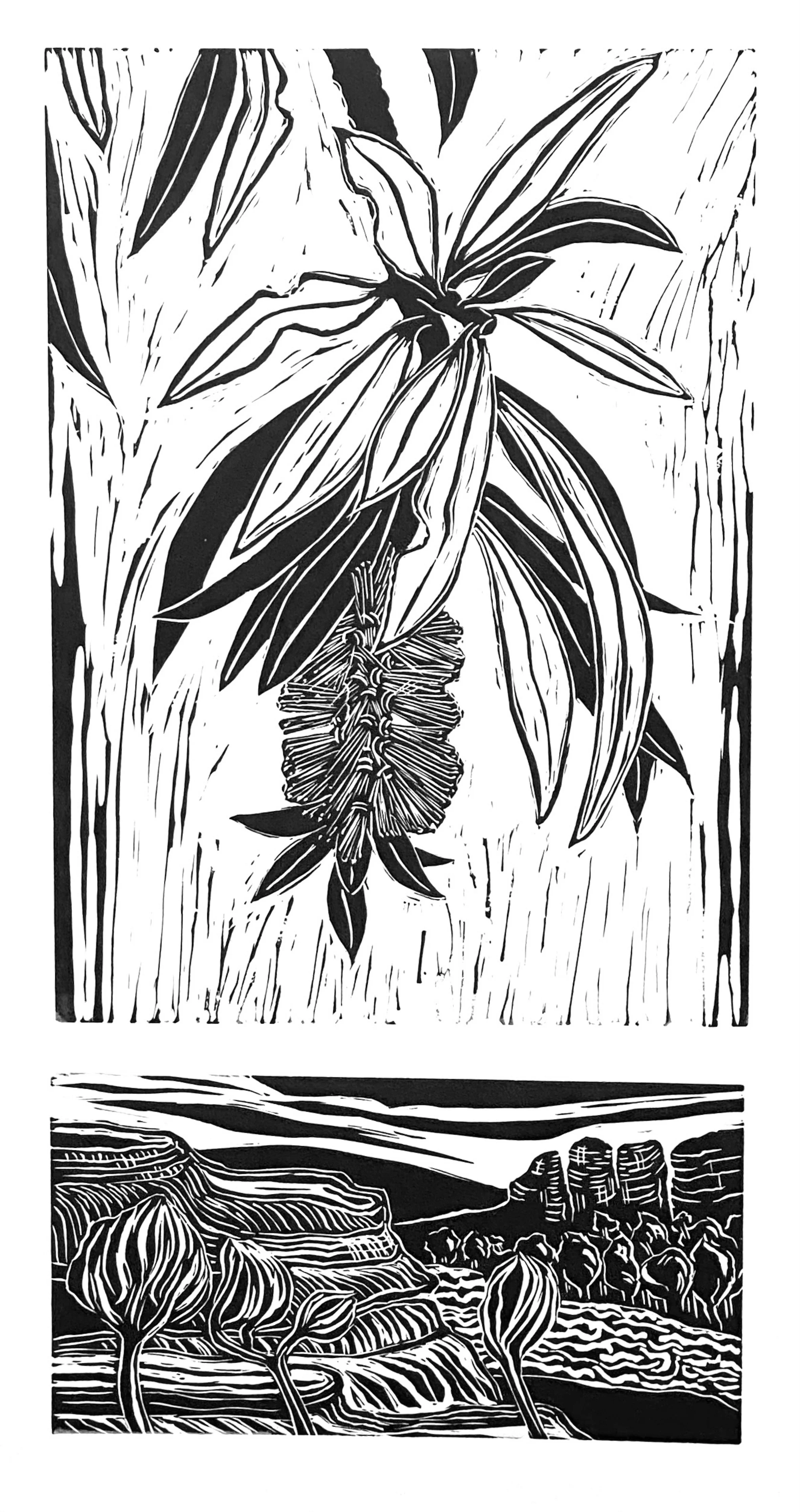 Fahey_Kathy_Callistemon and Seascape.jpeg