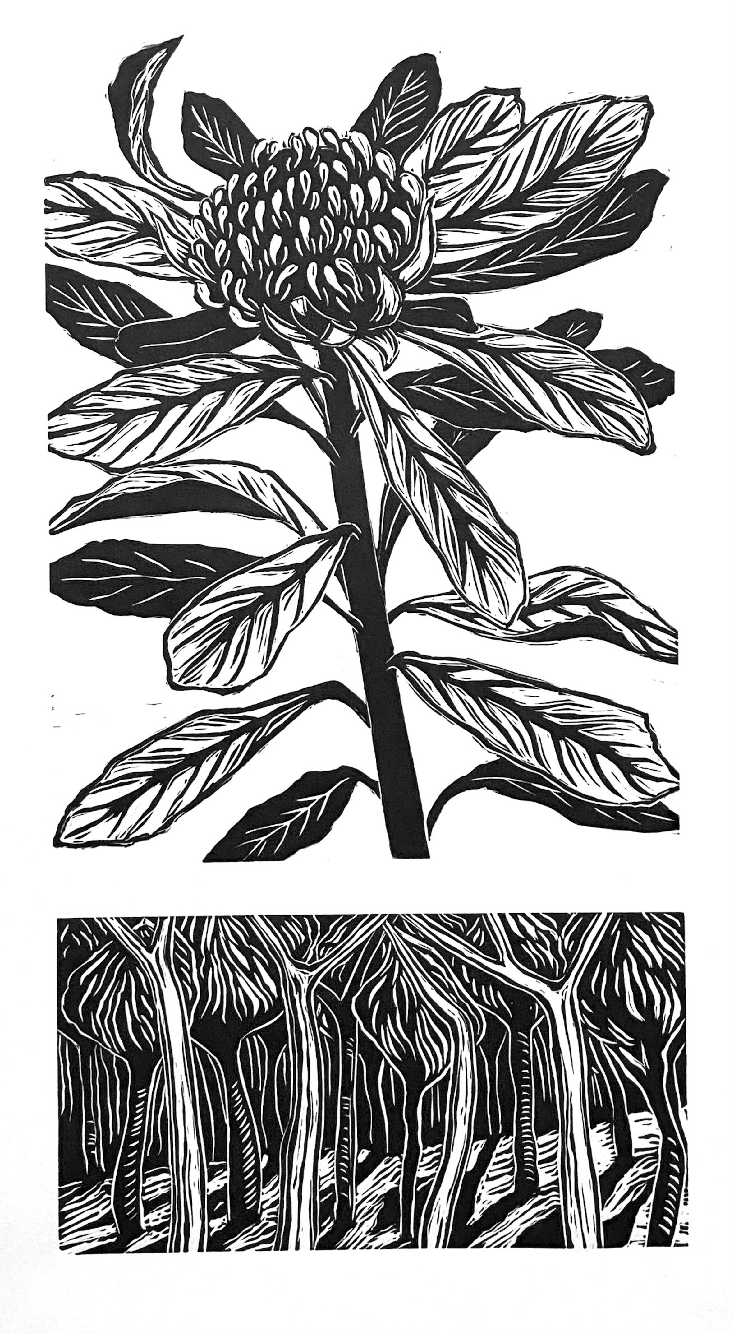 Fahey_Kathy_Waratah and Forest.jpeg