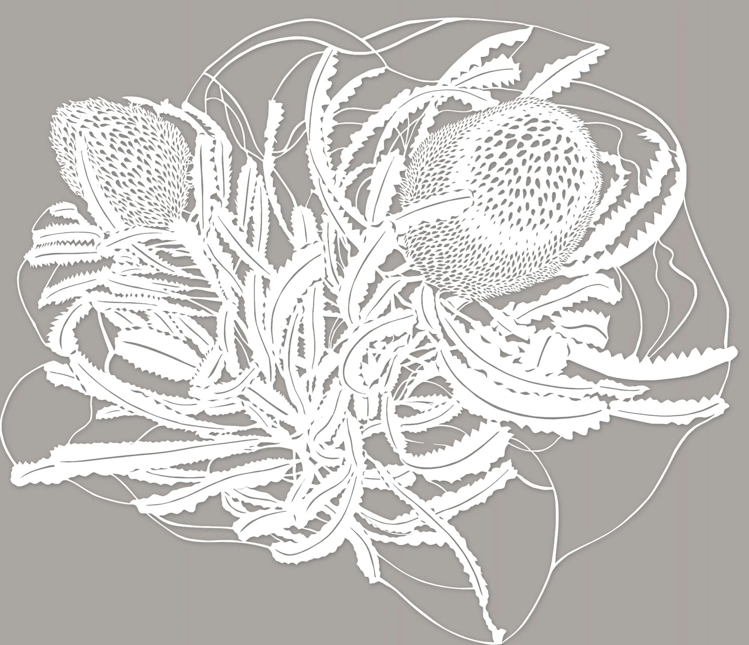 McLaughlin_Roma_.Banksia.jpg