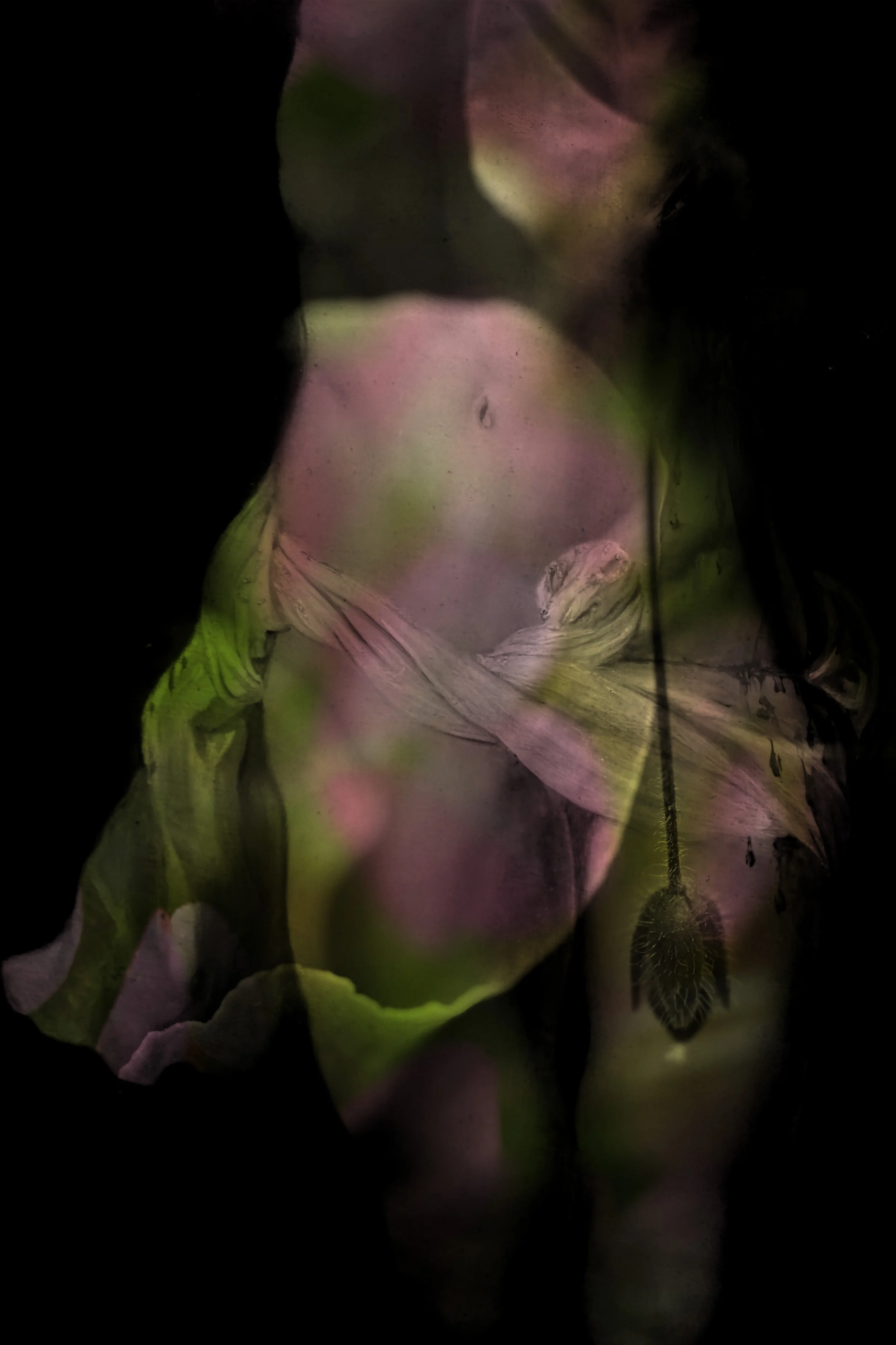 Our bodies are wild and shimmering 15