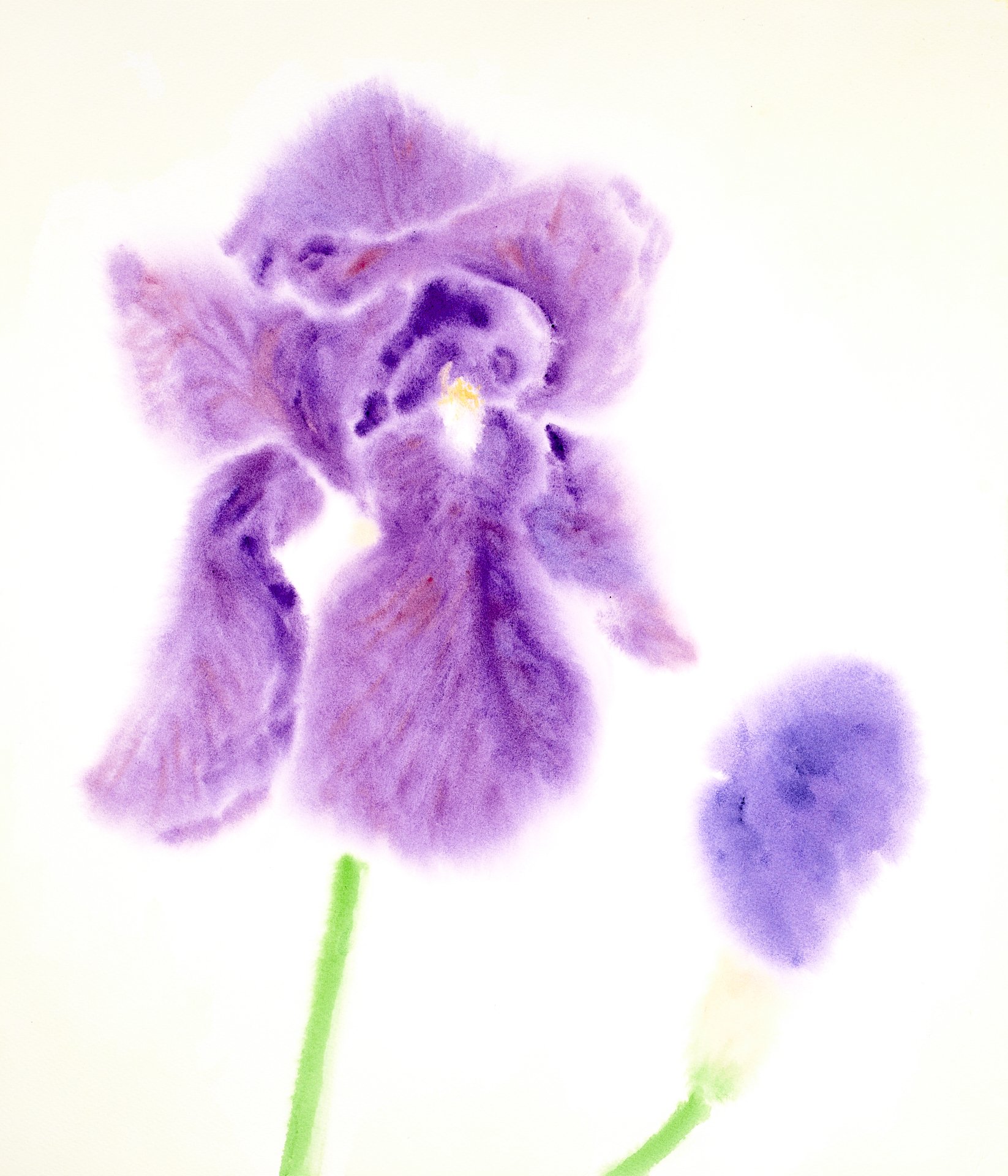 Grace, Watercolour on Cotton, 53cm x 45.5cm, Yukiko Abe-Kruithof, 2024 s.jpg