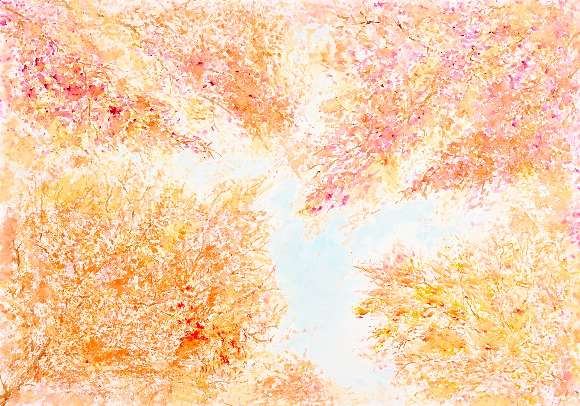 Through Autumn Trees