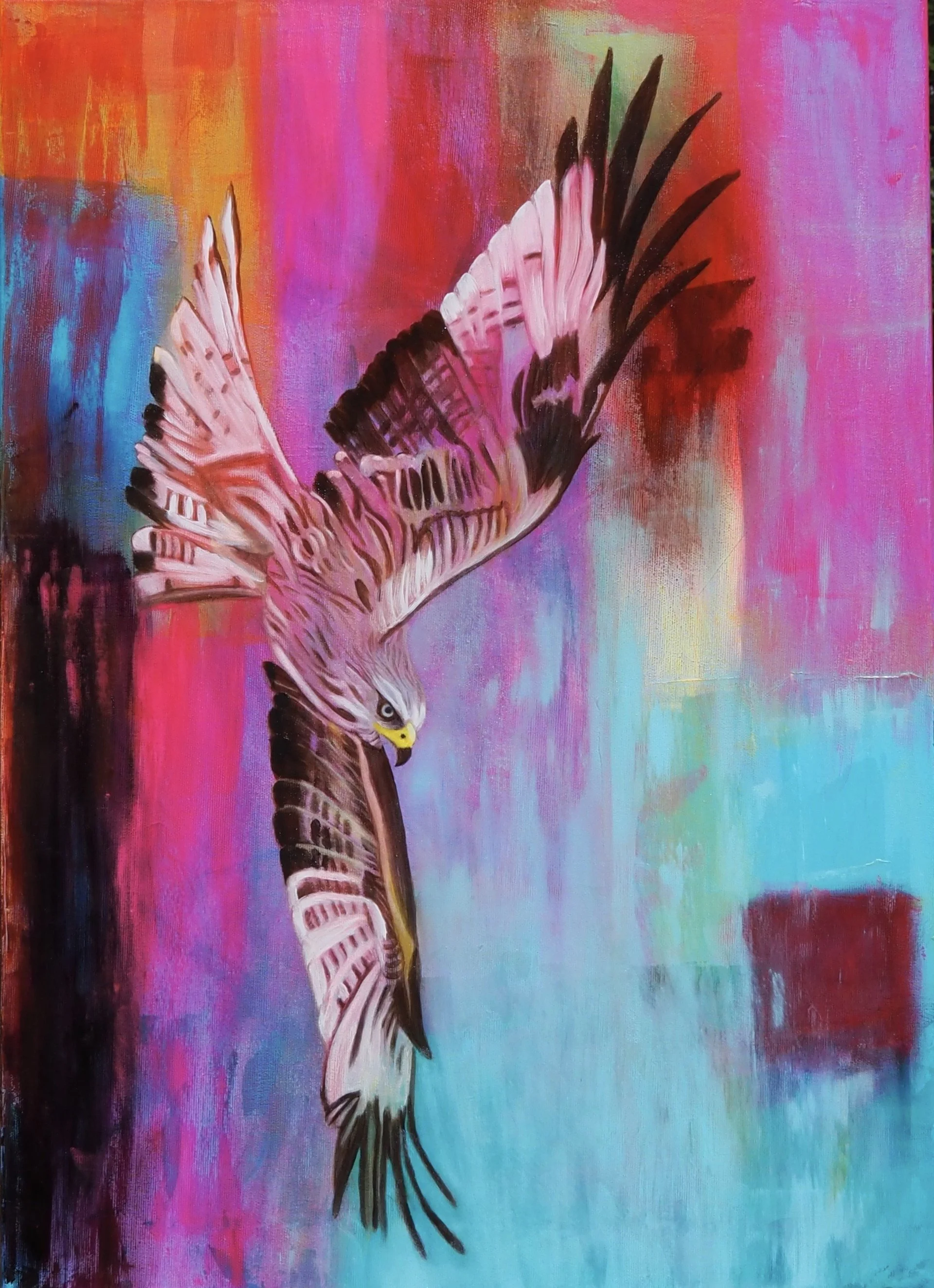 Kimberley cardow The Dive 2.jpg