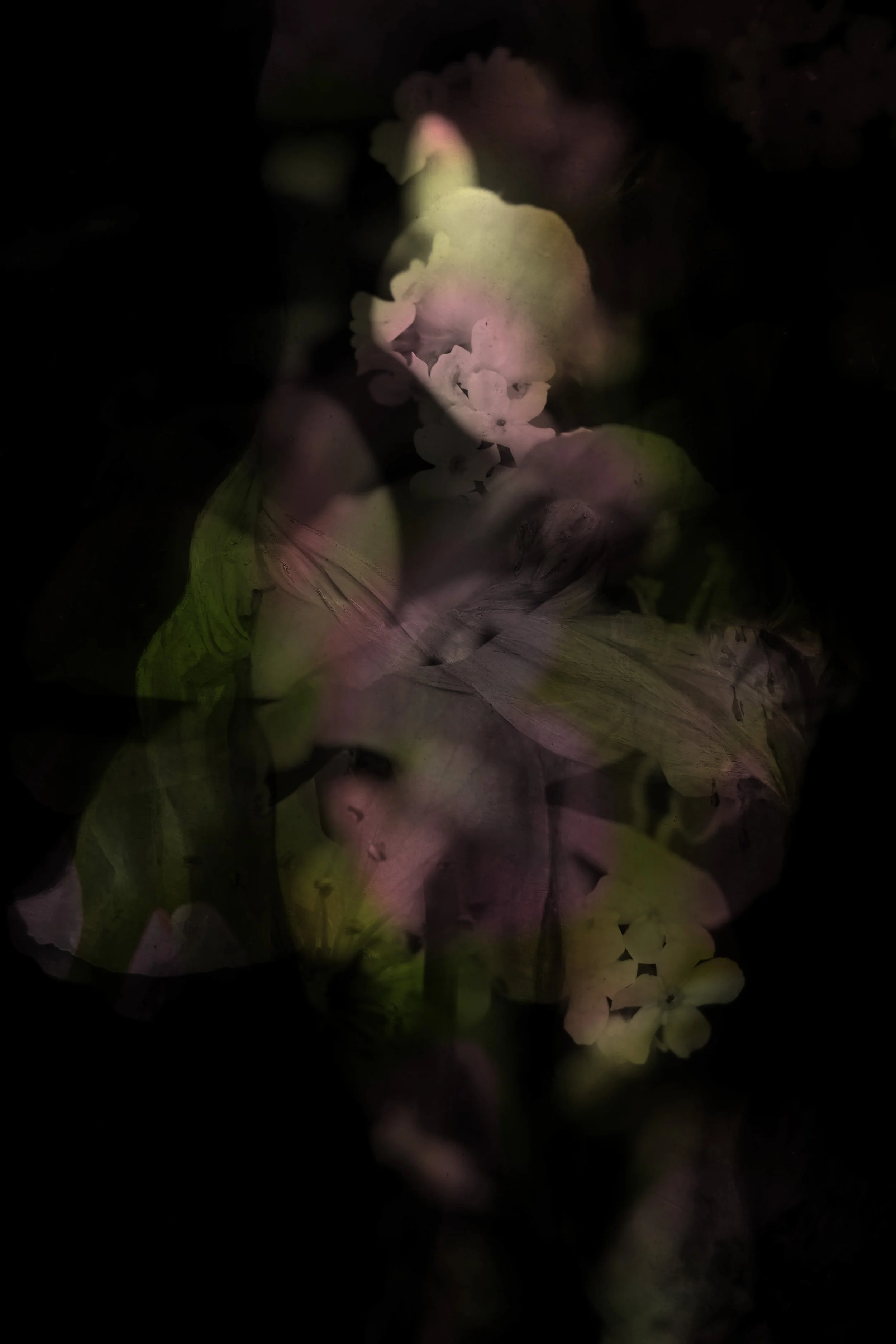 Our bodies are wild and shimmering 13