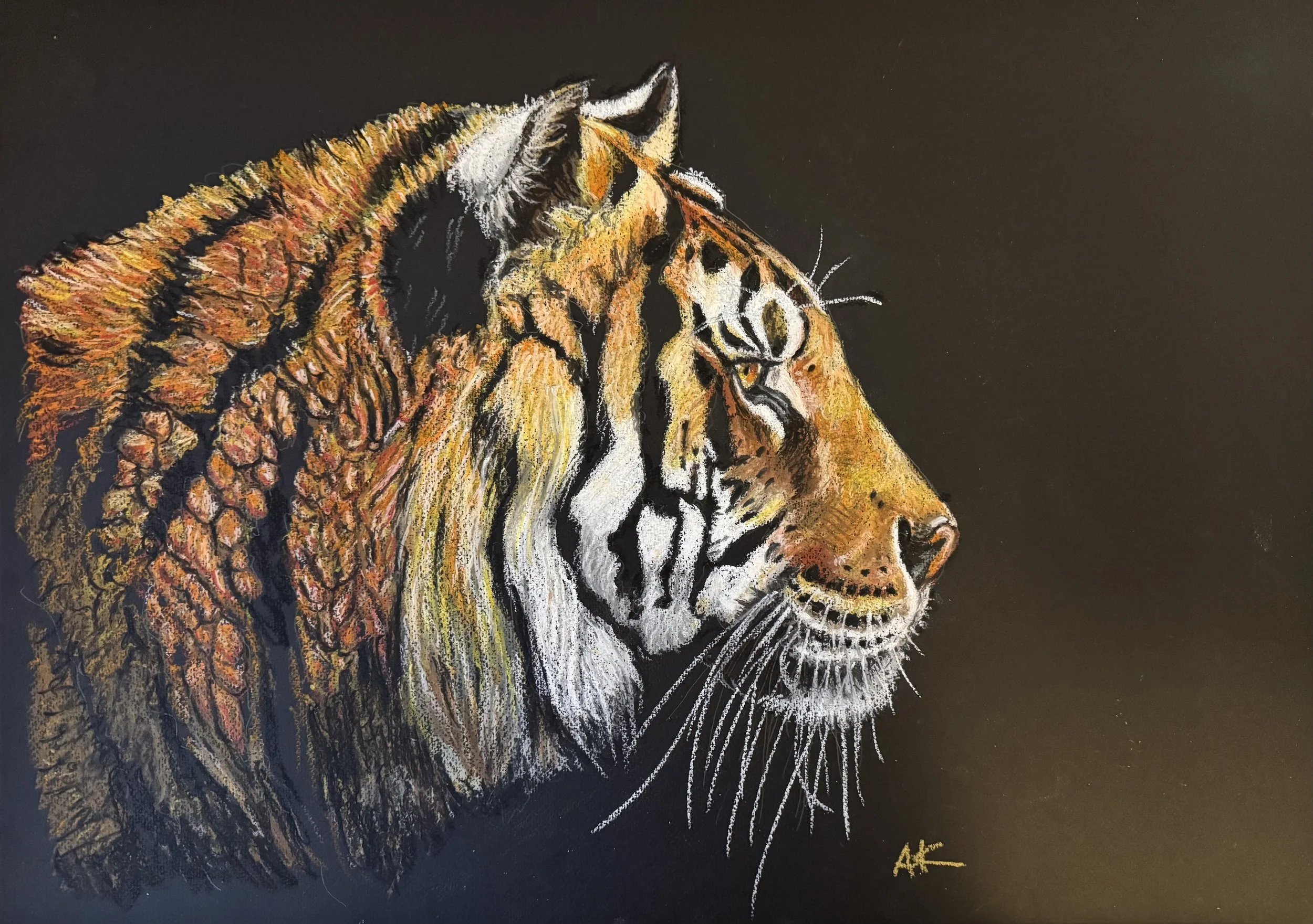 Look into the Shadows artwork A Koomen.jpg