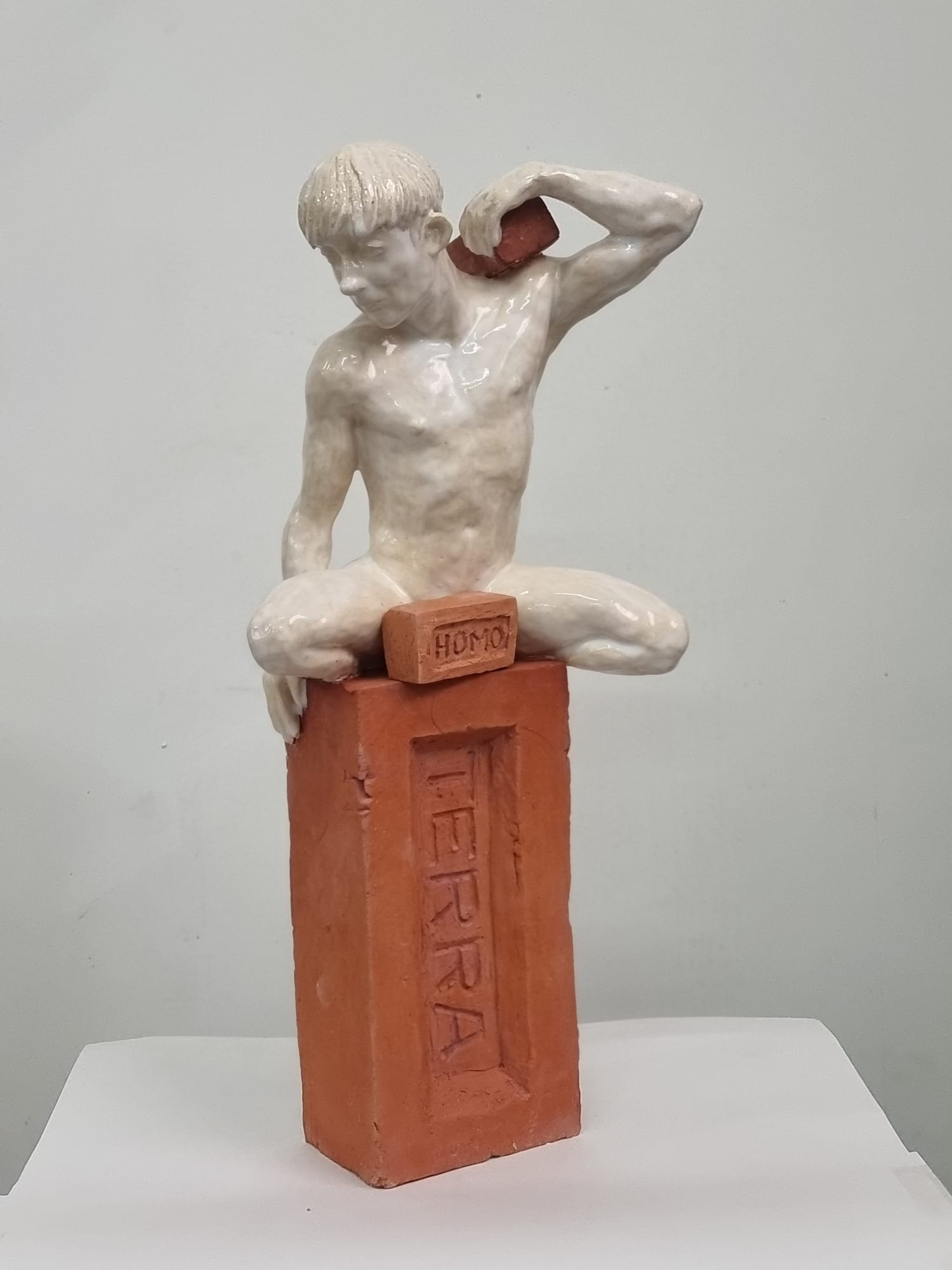 Falconeria Marimón & William Eicholtz  -Terra no. 1