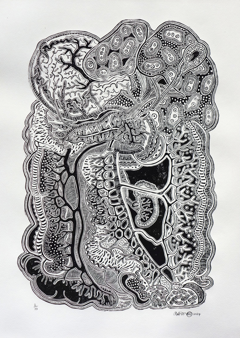 Reversed Anatomy