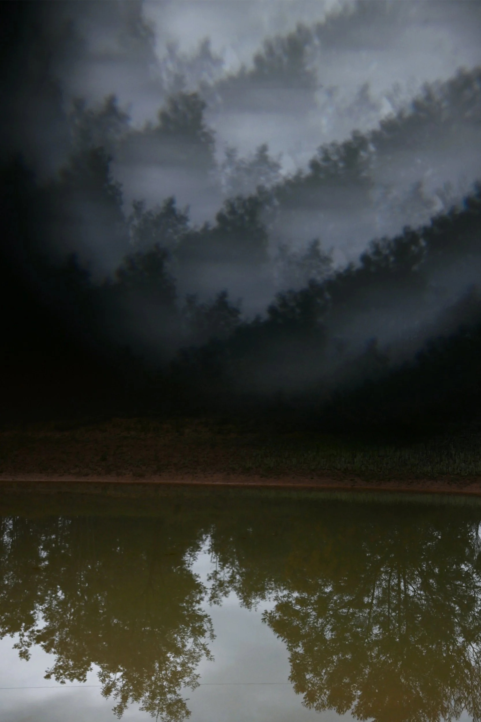 Drag me into the bush / I want to taste all the trees in you #2