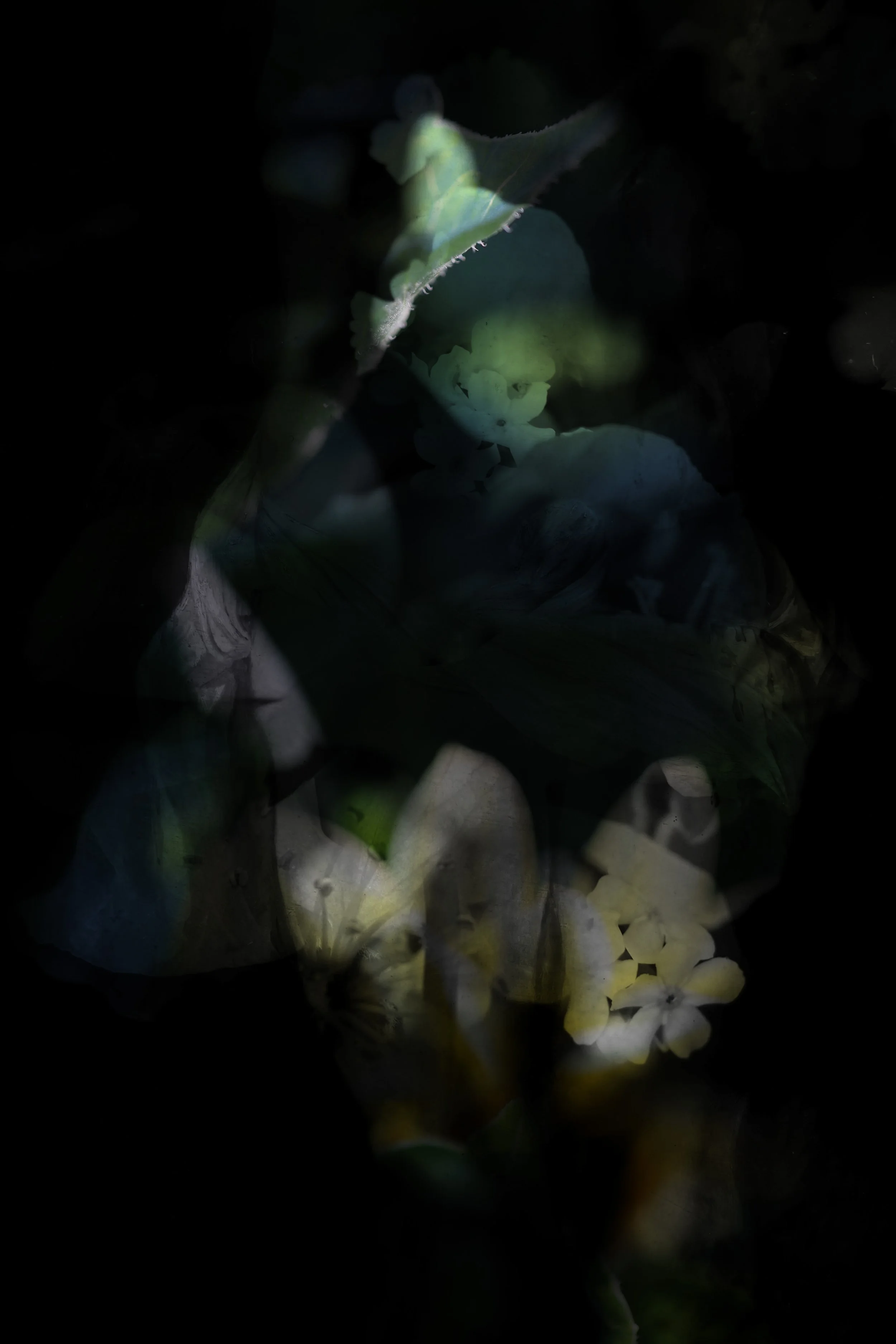 Our bodies are wild and shimmering 8