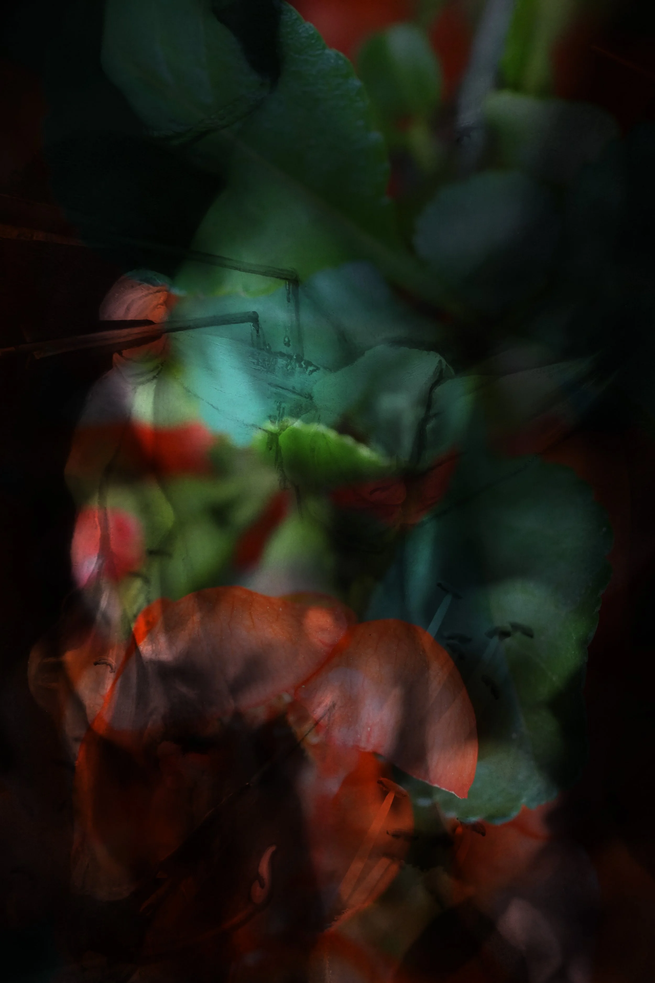 Our bodies are wild and shimmering 12