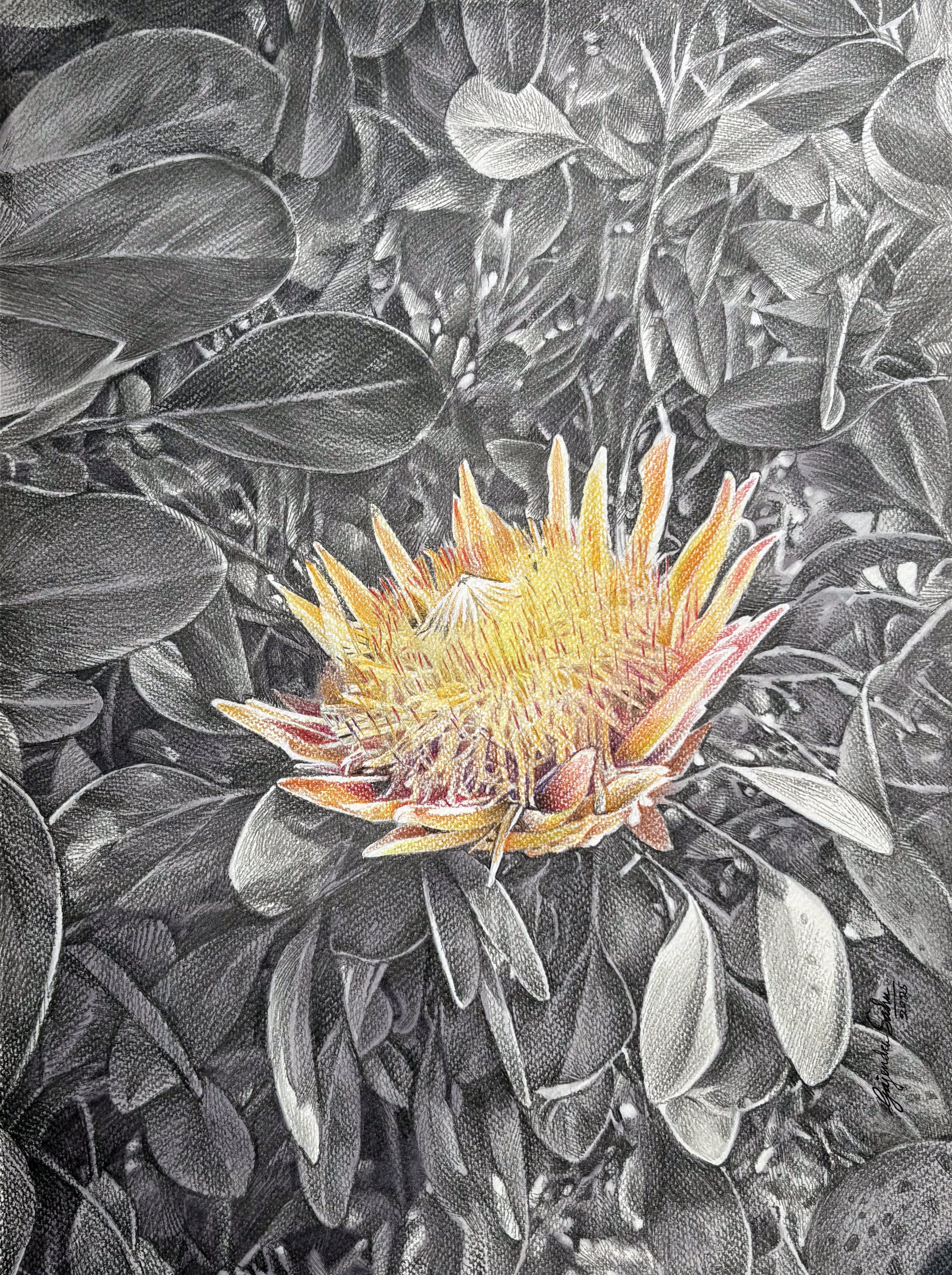 Untitled 21