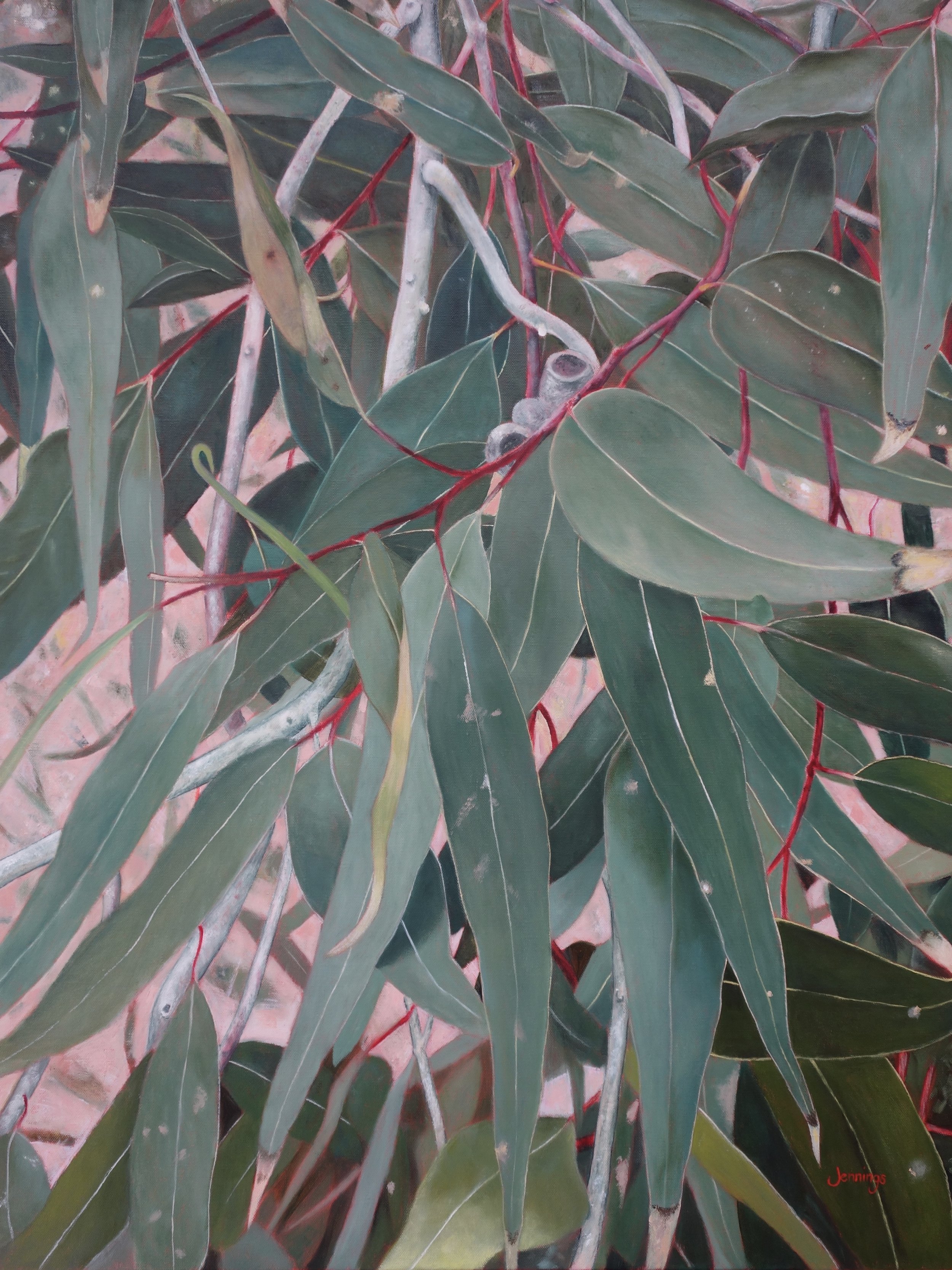 Eucalypt Pink Dusk I.JPEG