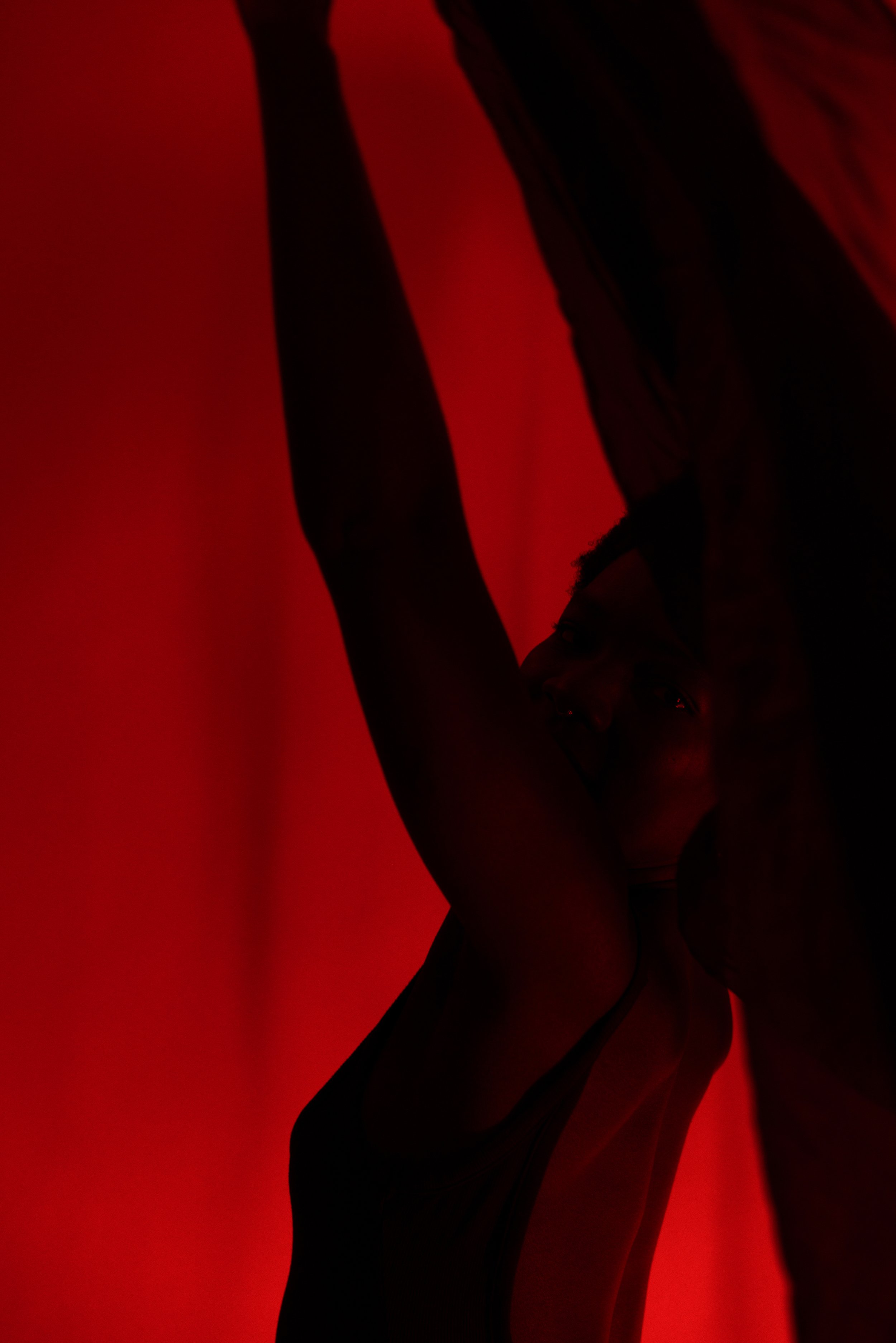 V_COLLECTION-15RedForm.jpg