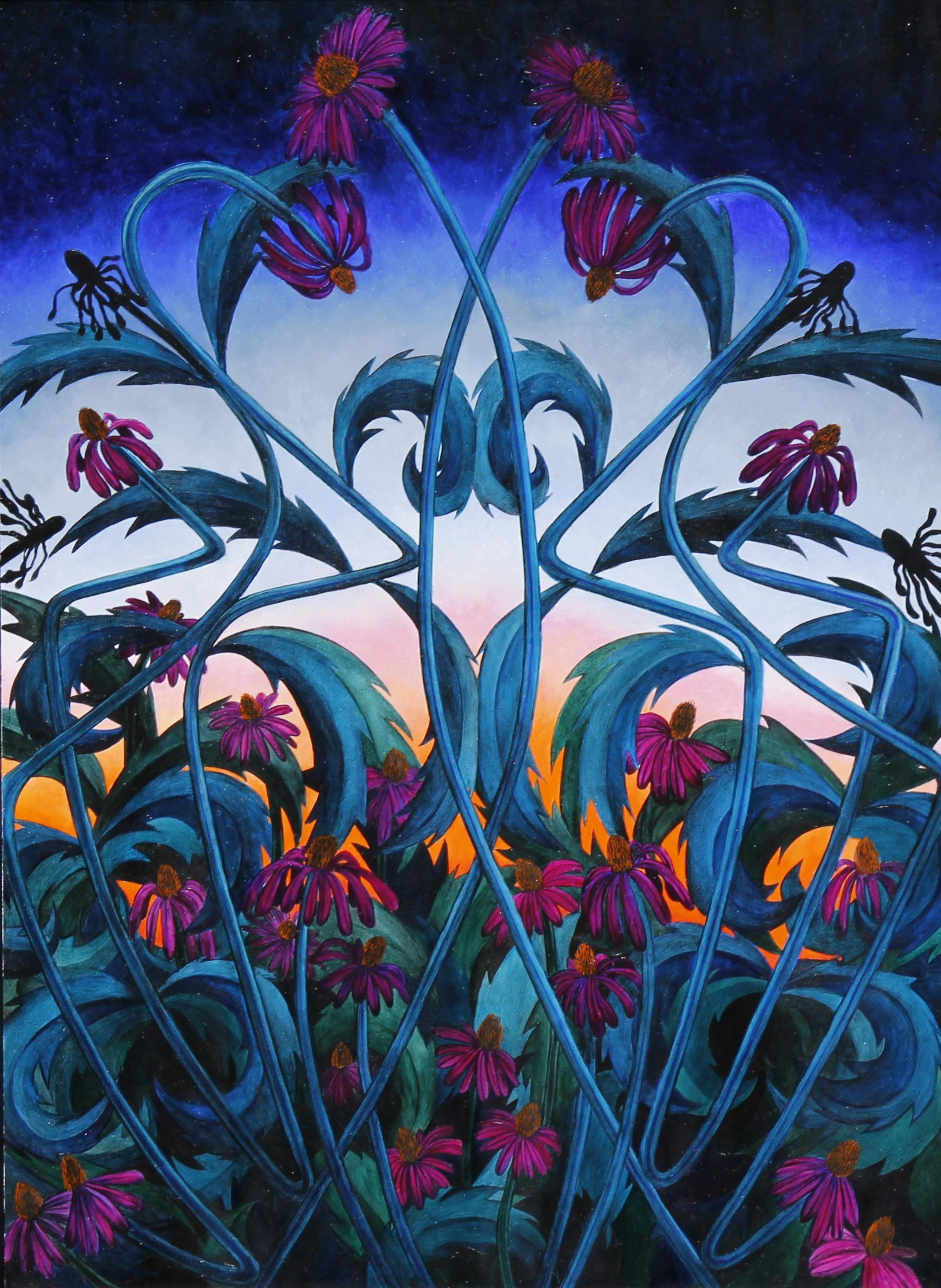 Echoes of Echinacea