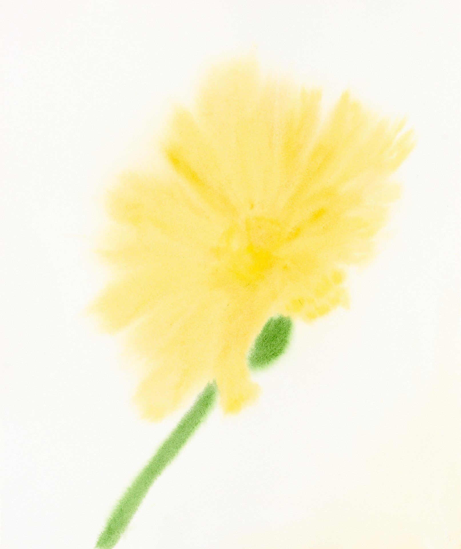 Modesty II, Watercolour on Cotton, 45.5cm x 38cm, Yukiko Abe-Kruithof, 2024 s.jpg