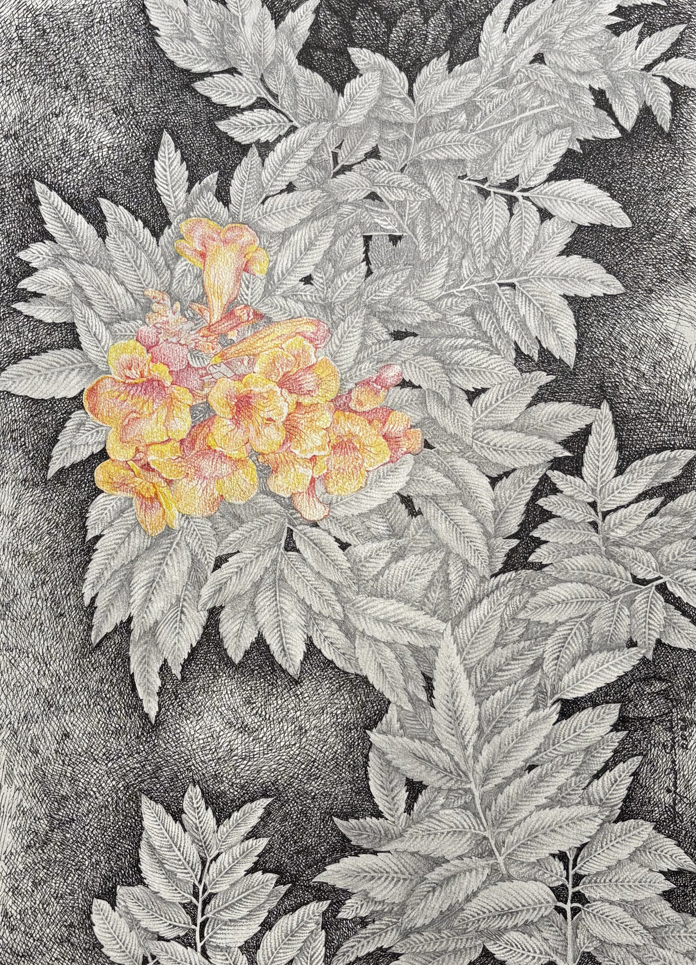 Untitled 20