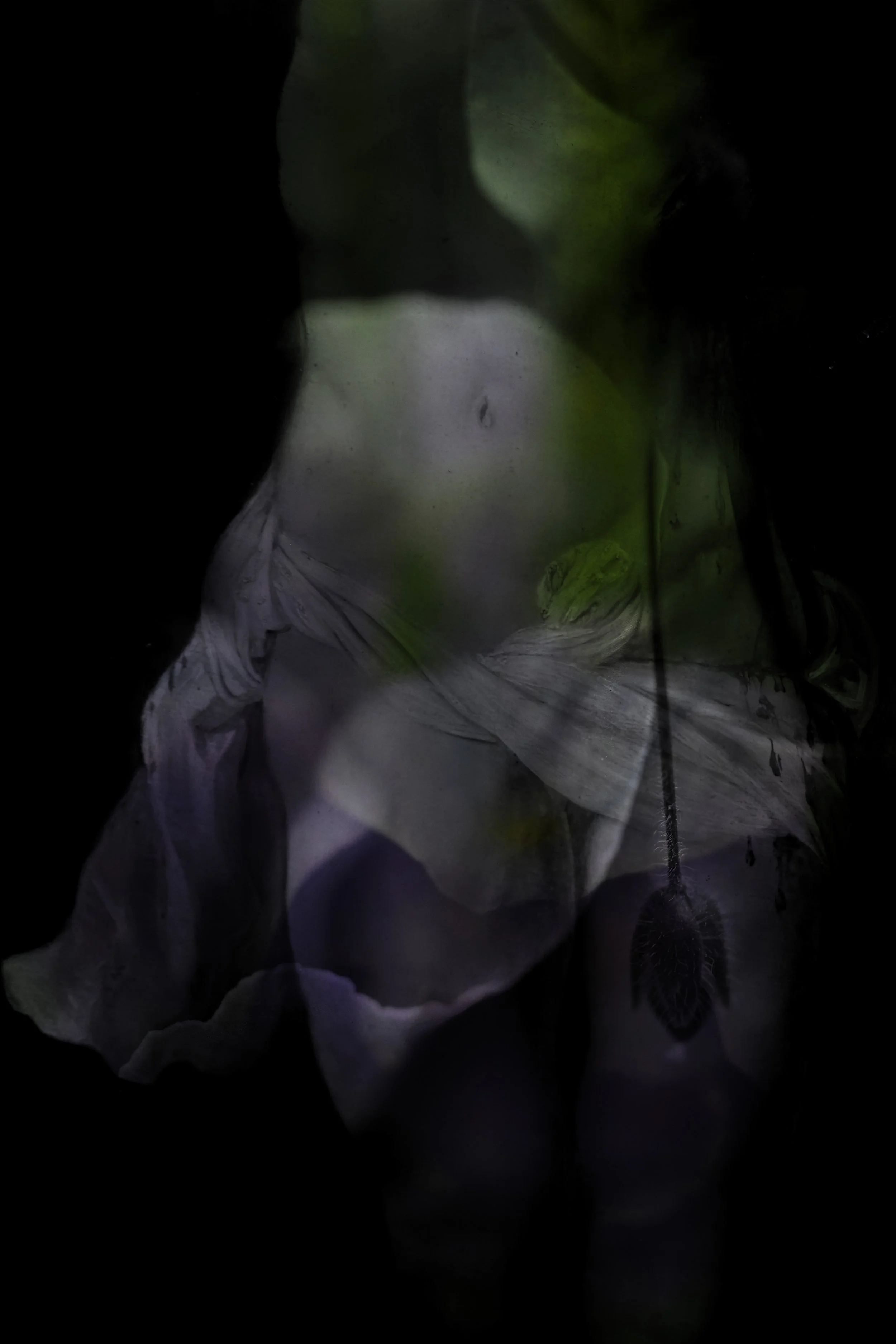 Our bodies are wild and shimmering 10