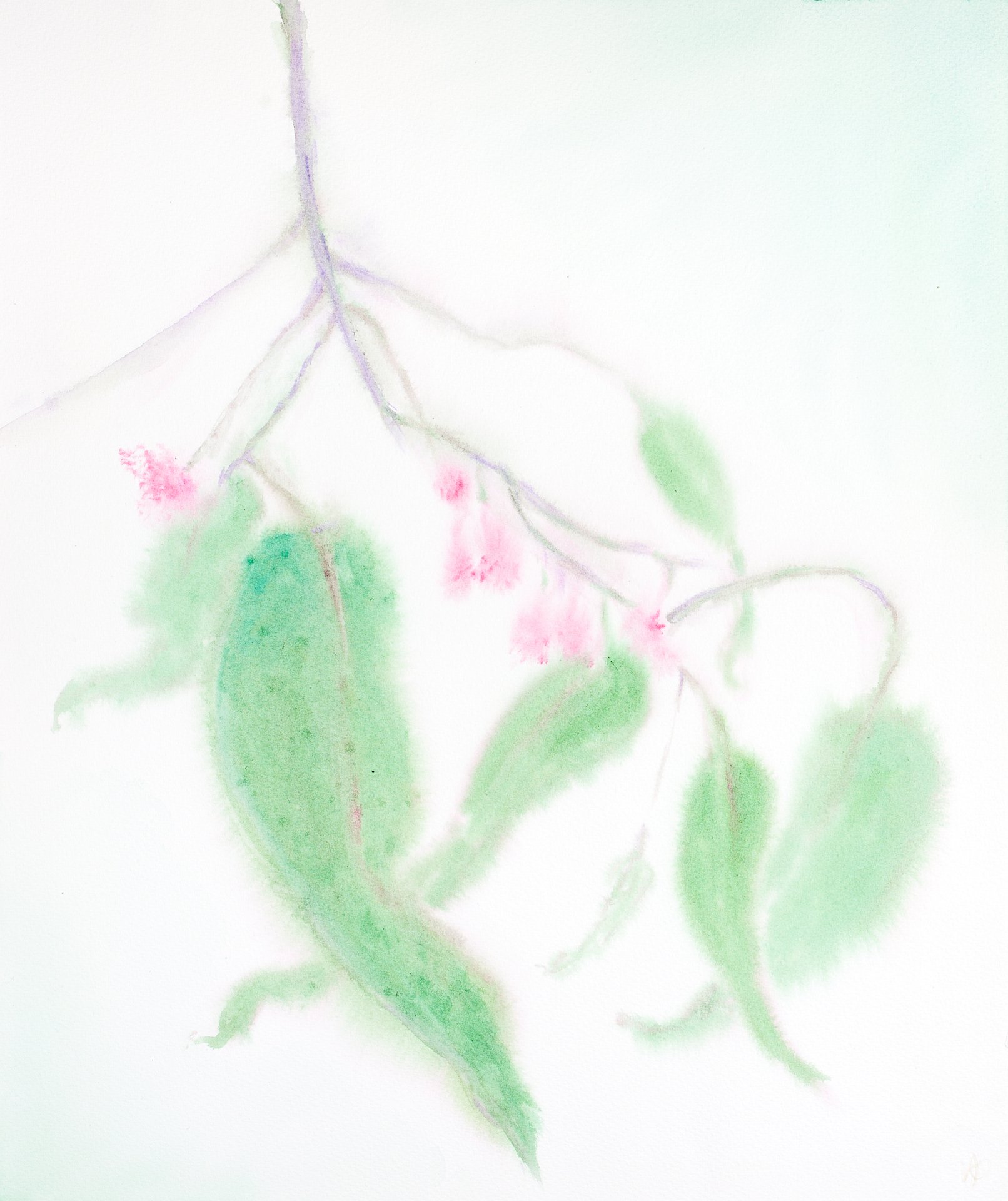Freedom I, Watercolour on Cotton, 45.5cm x 38cm, Yukiko Abe-Kruithof, 2024 s.jpg