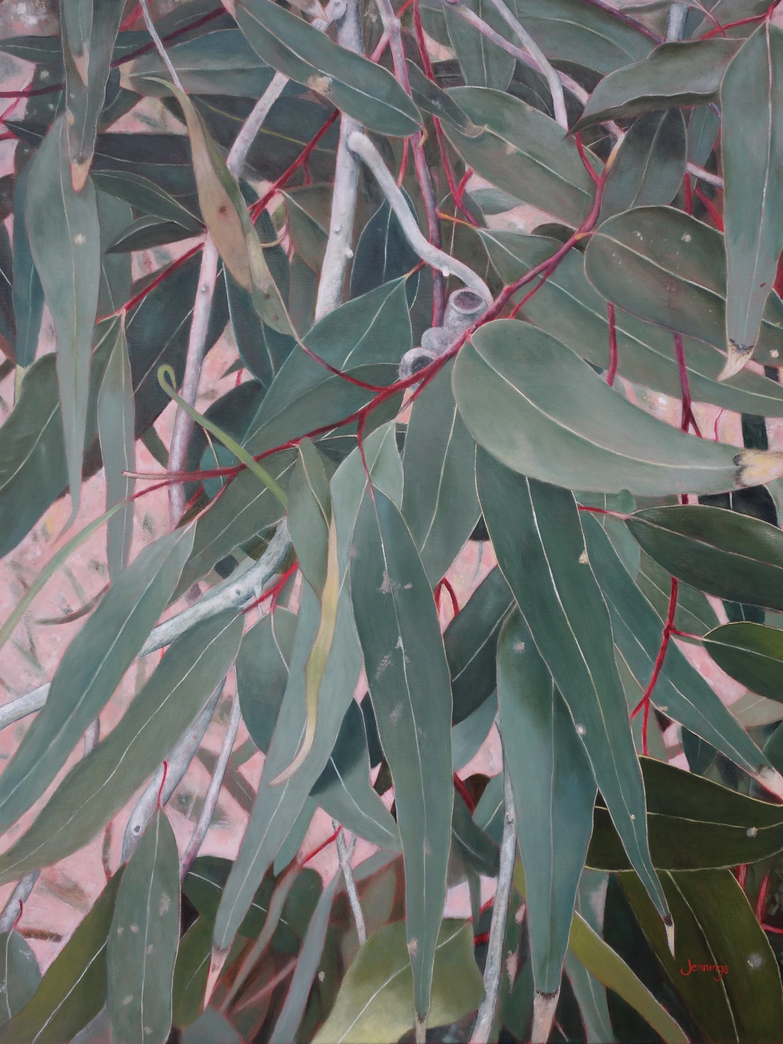 Eucalypt: Pink Dusk