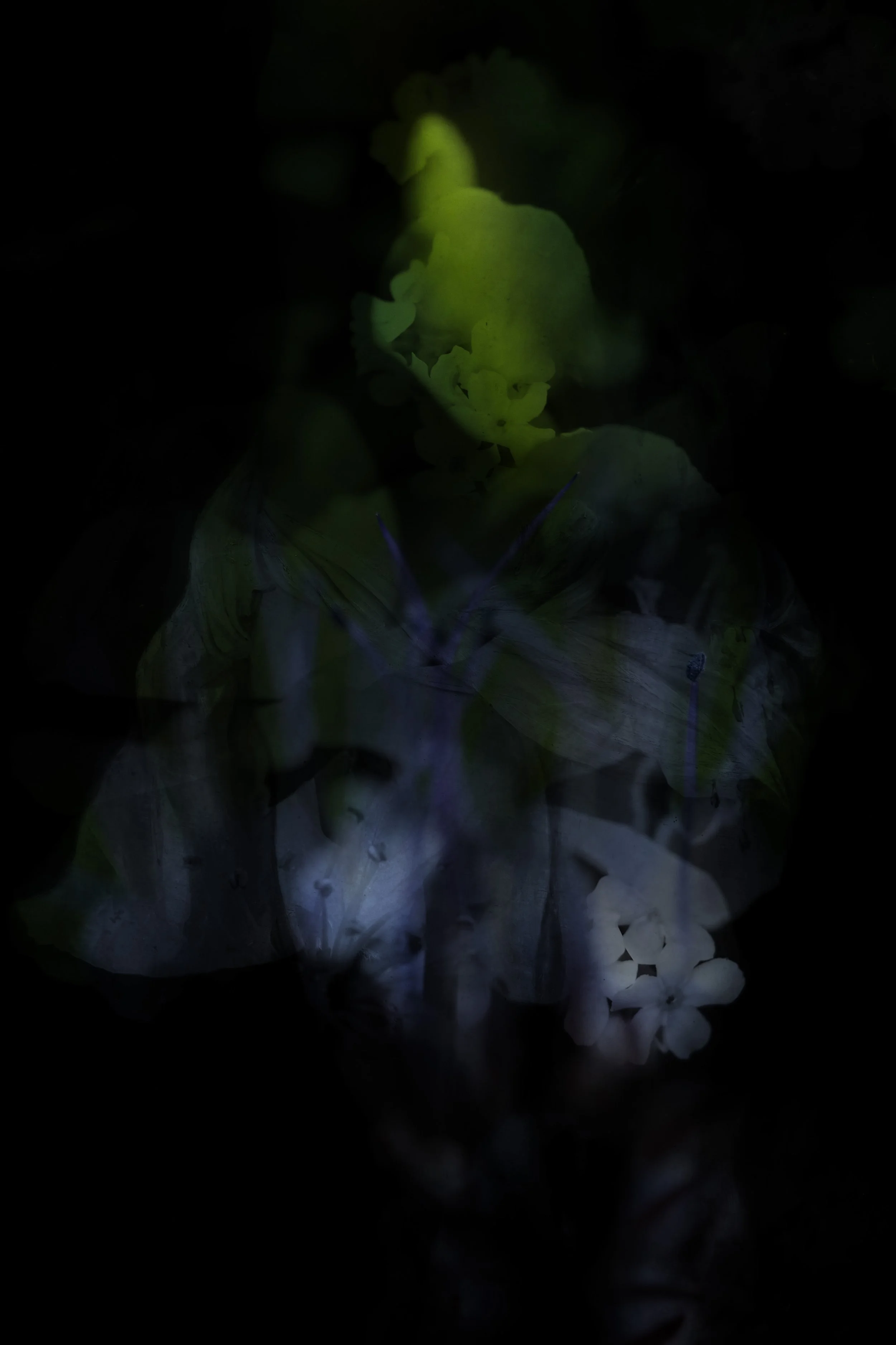 Our bodies are wild and shimmering 21