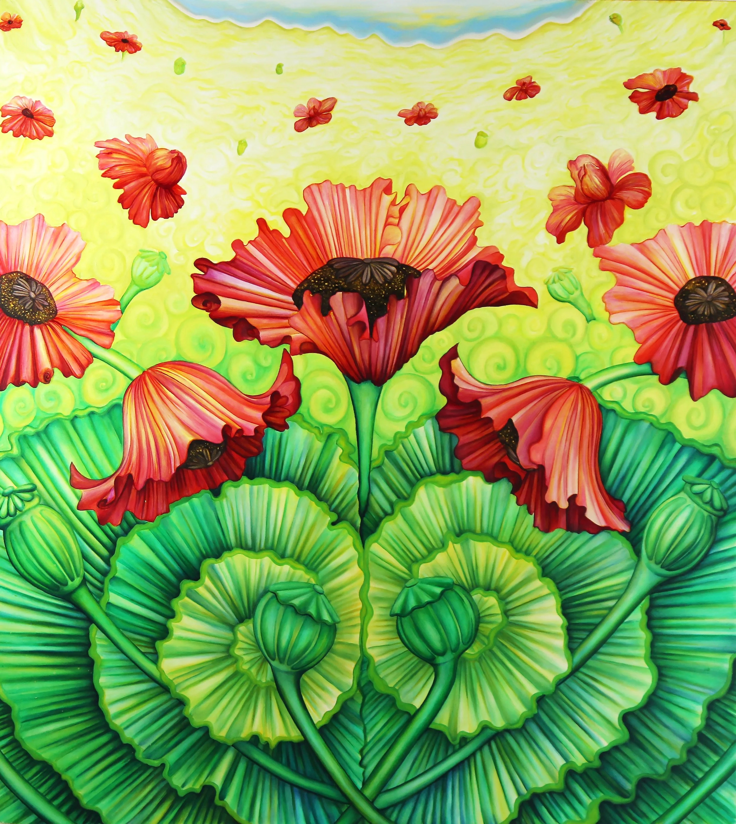 Sun Blessed Poppies