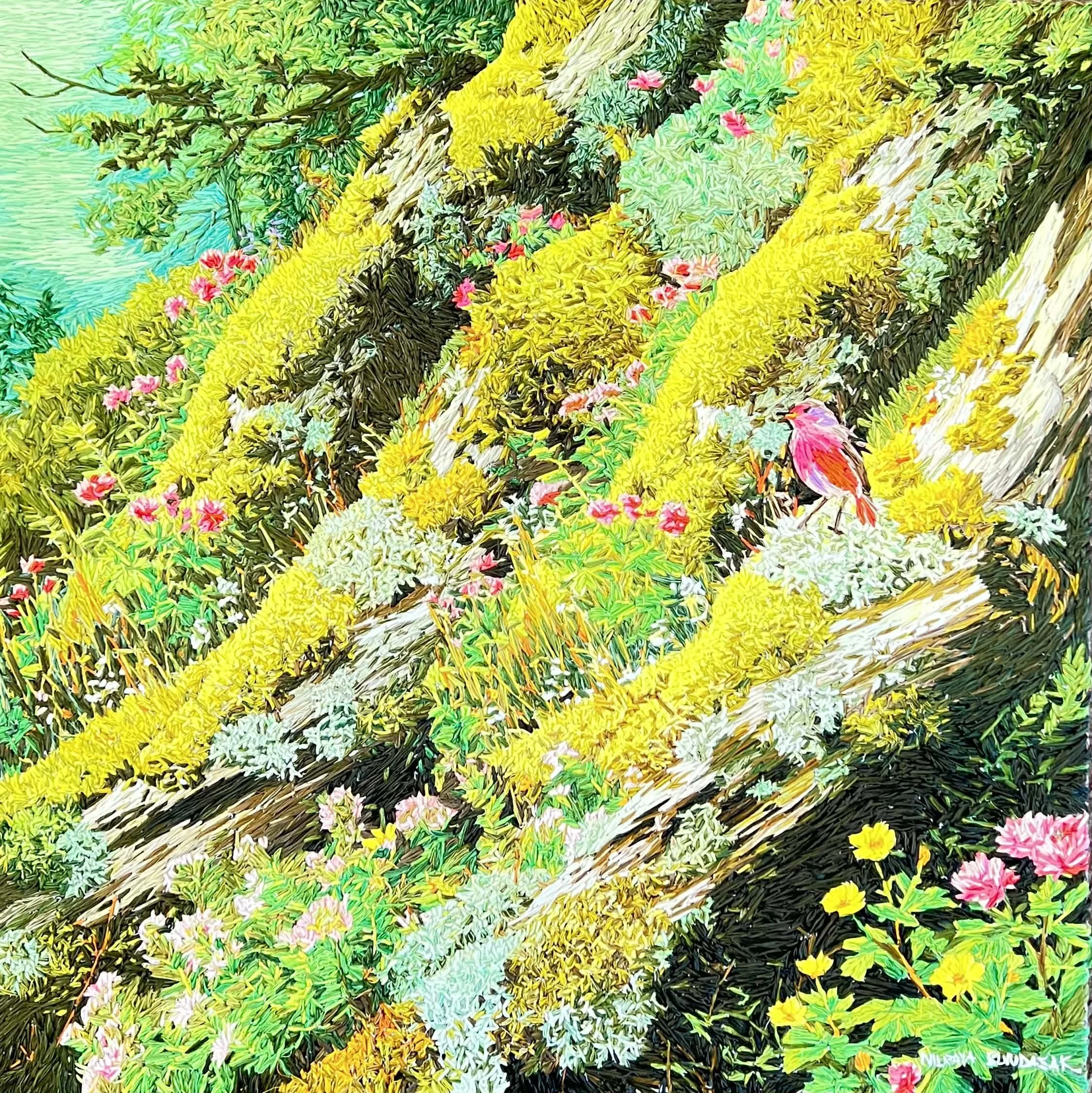 The Bird Who Found Spring