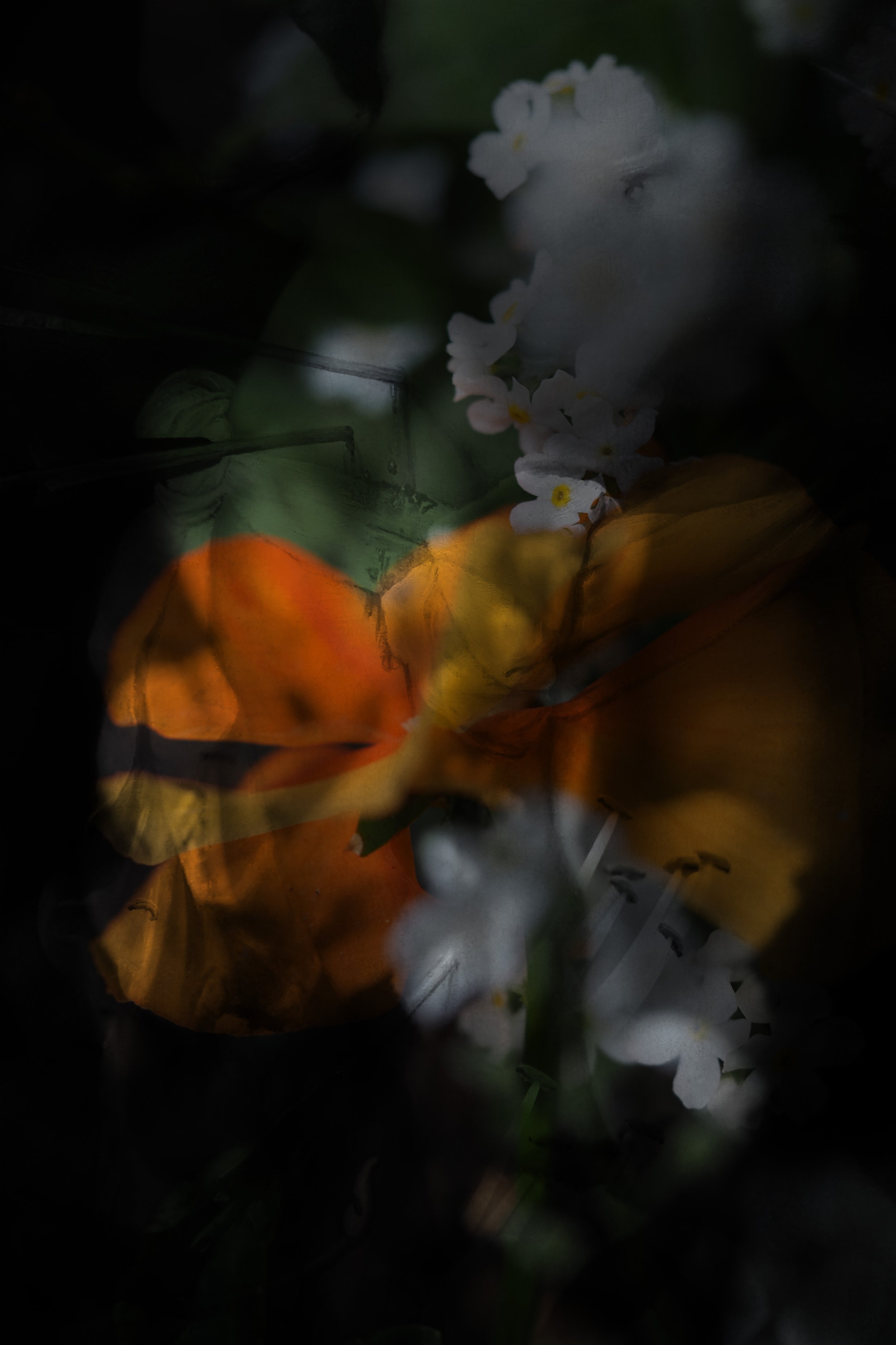 Our bodies are wild and shimmering 18