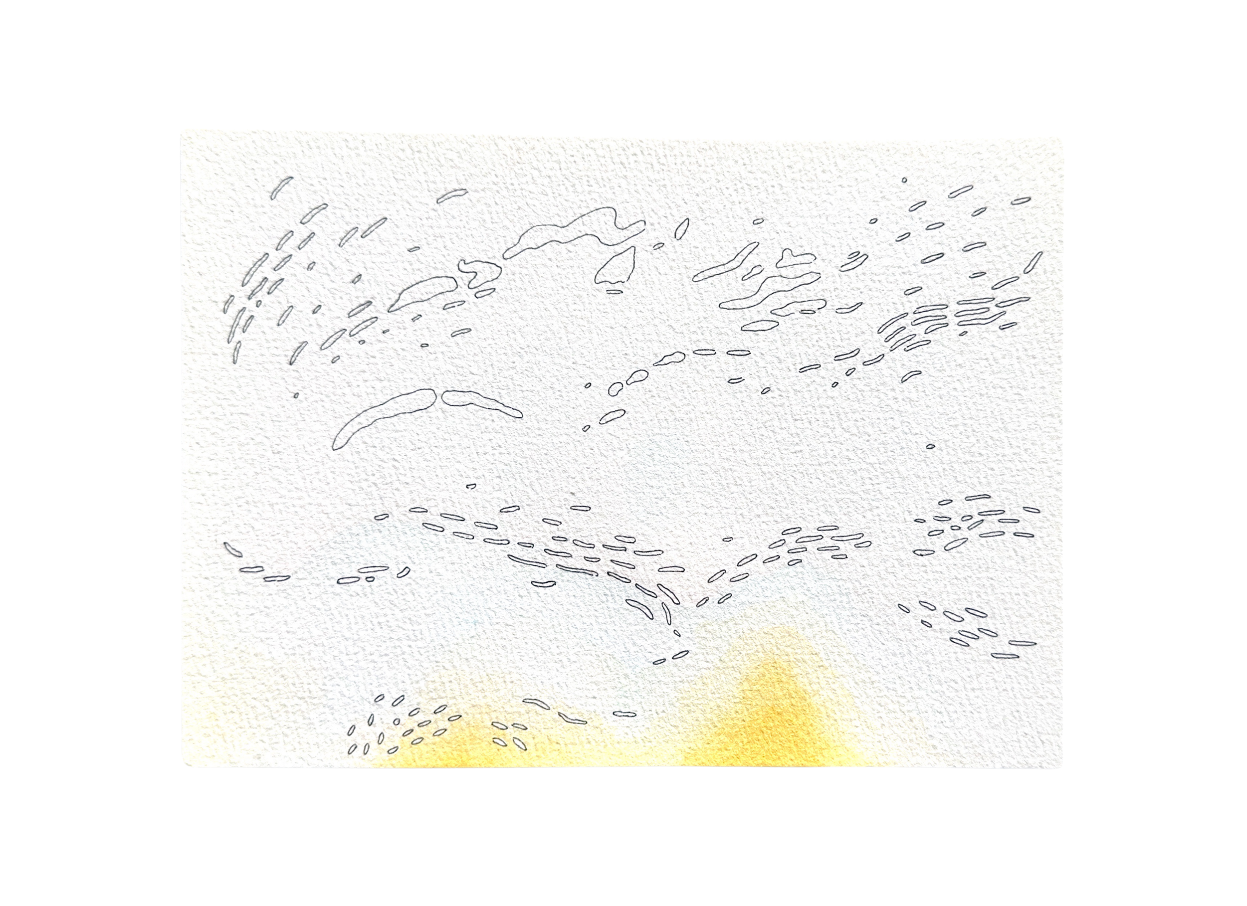 Ripples