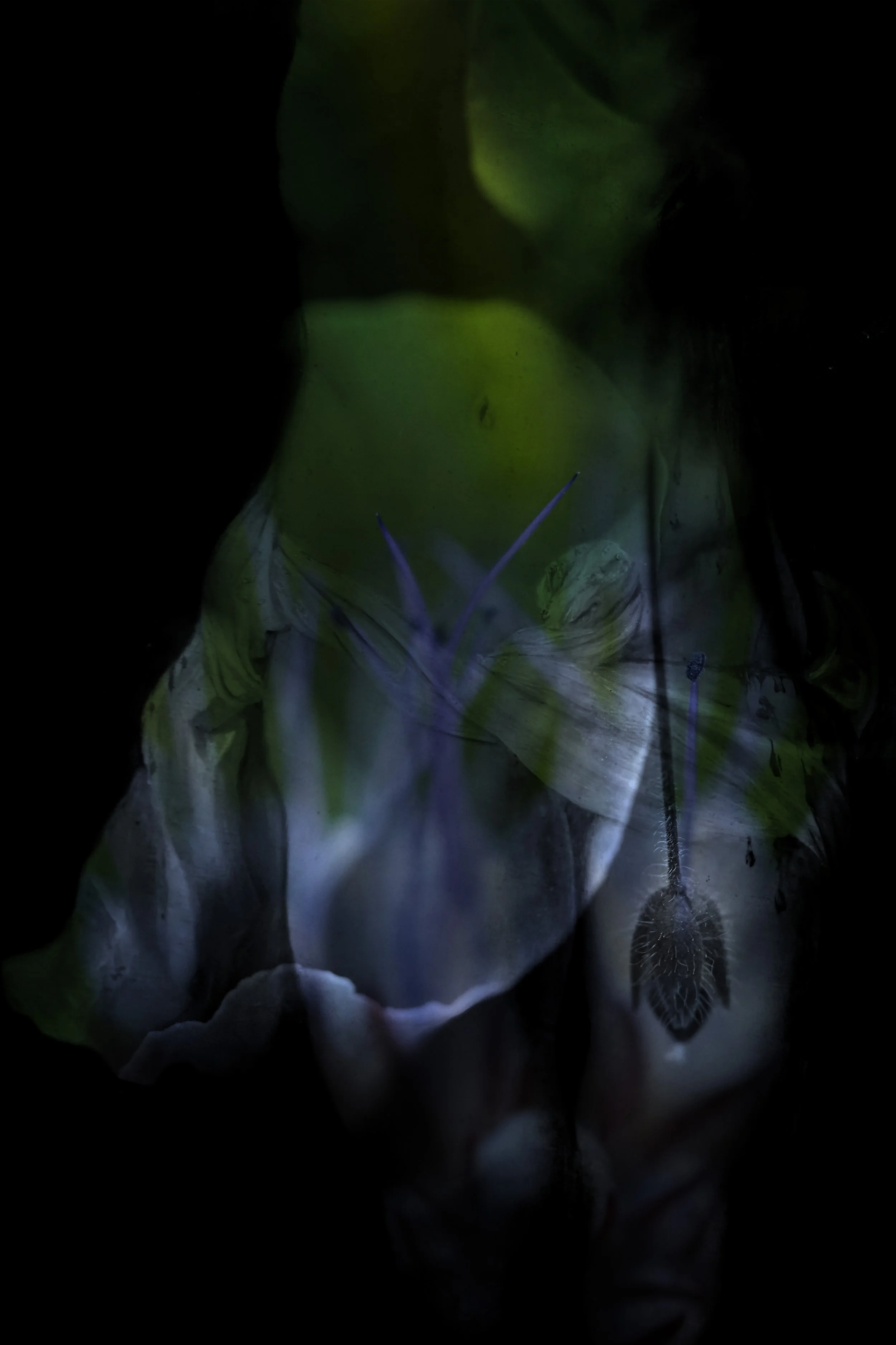 Our bodies are wild and shimmering 20