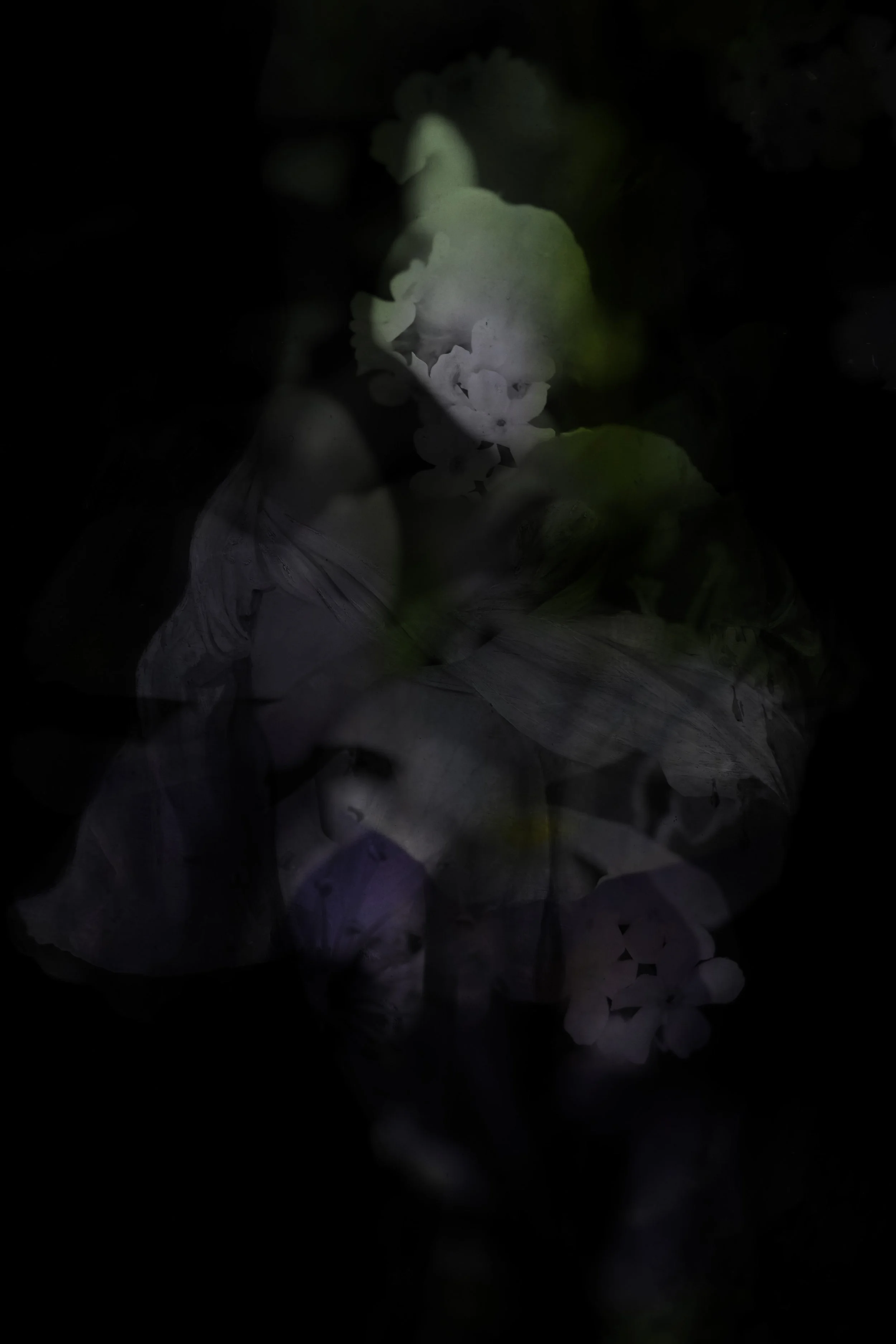 Our bodies are wild and shimmering 11