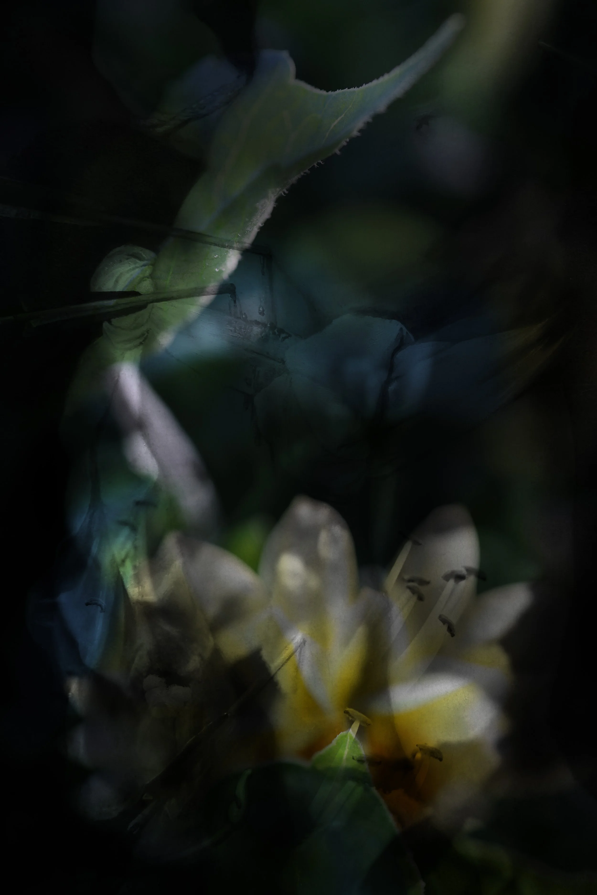 Our bodies are wild and shimmering 24