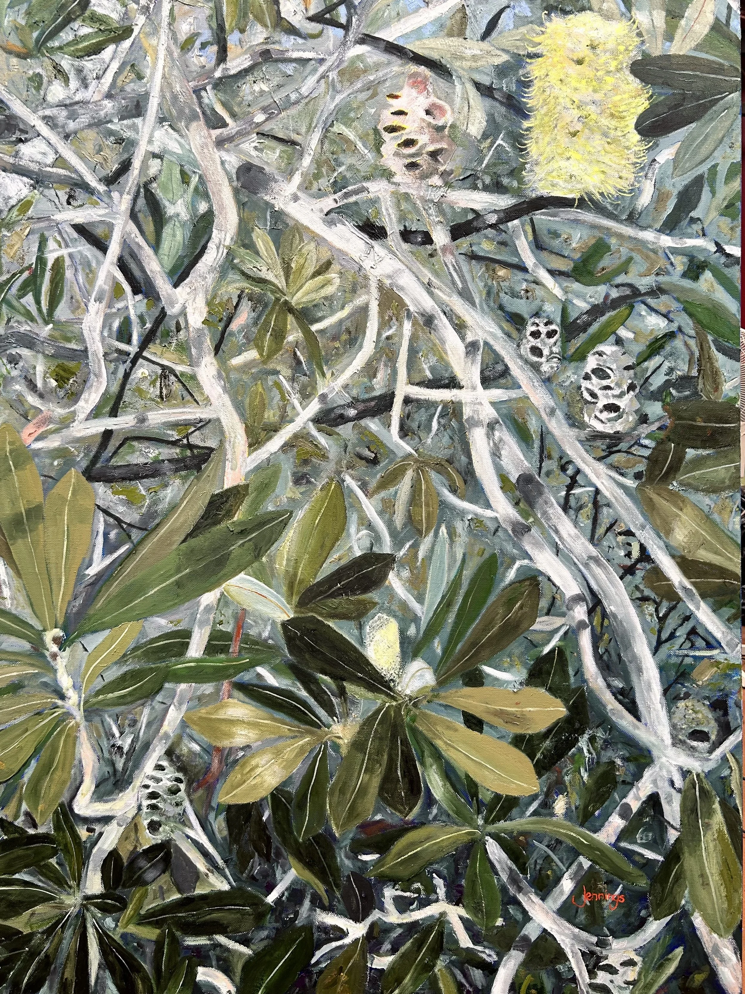 Coastal Banksia
