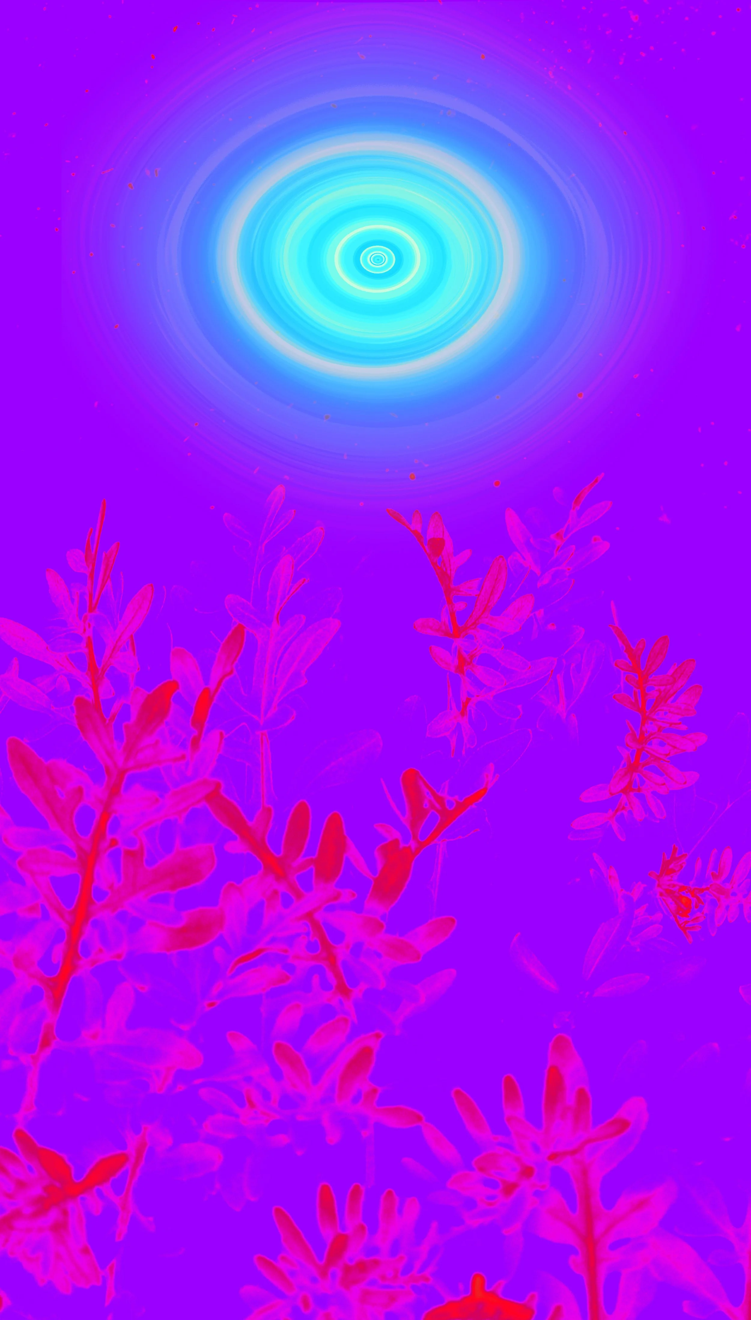 Presence #13