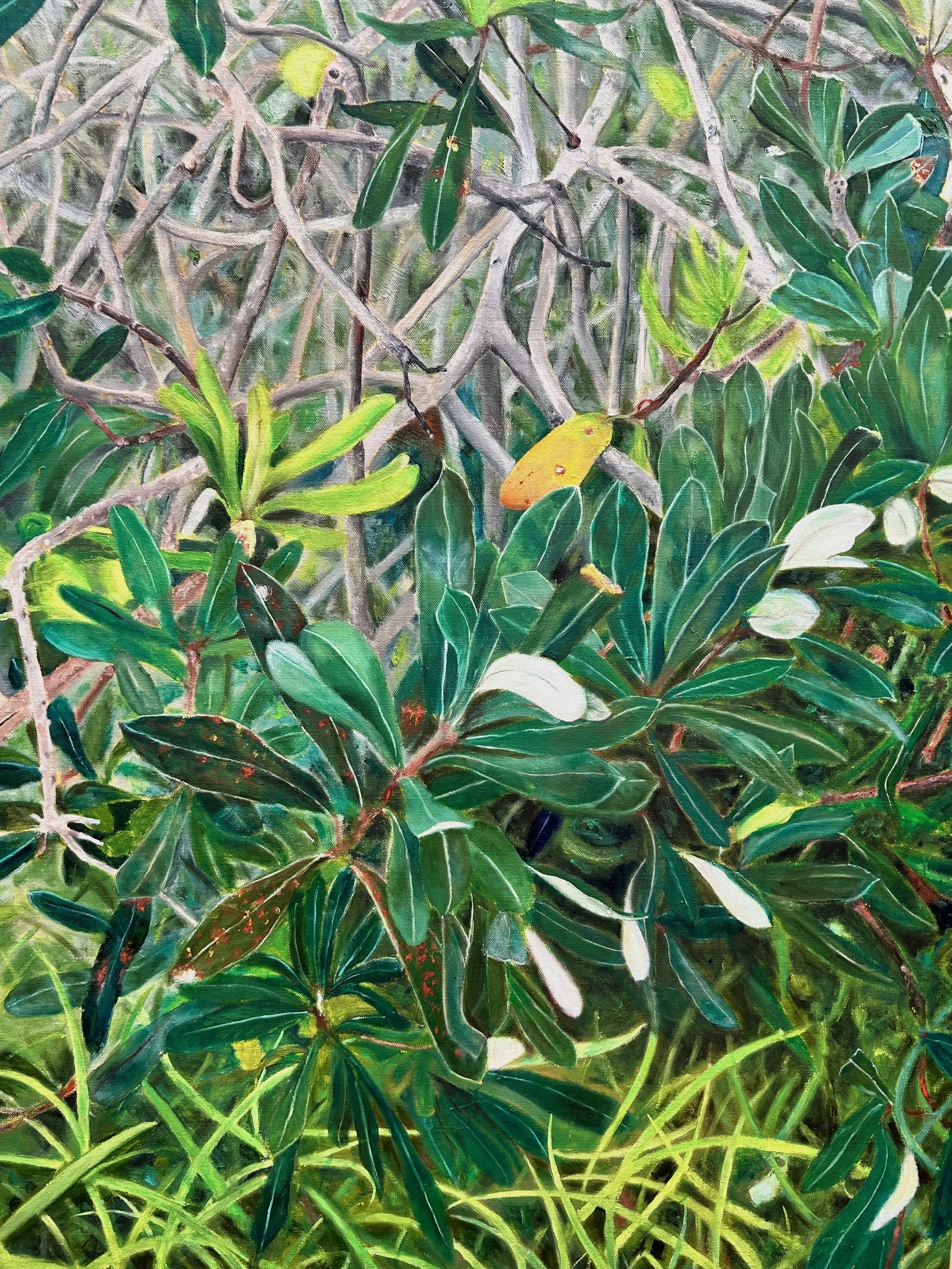 Banksia and Grass