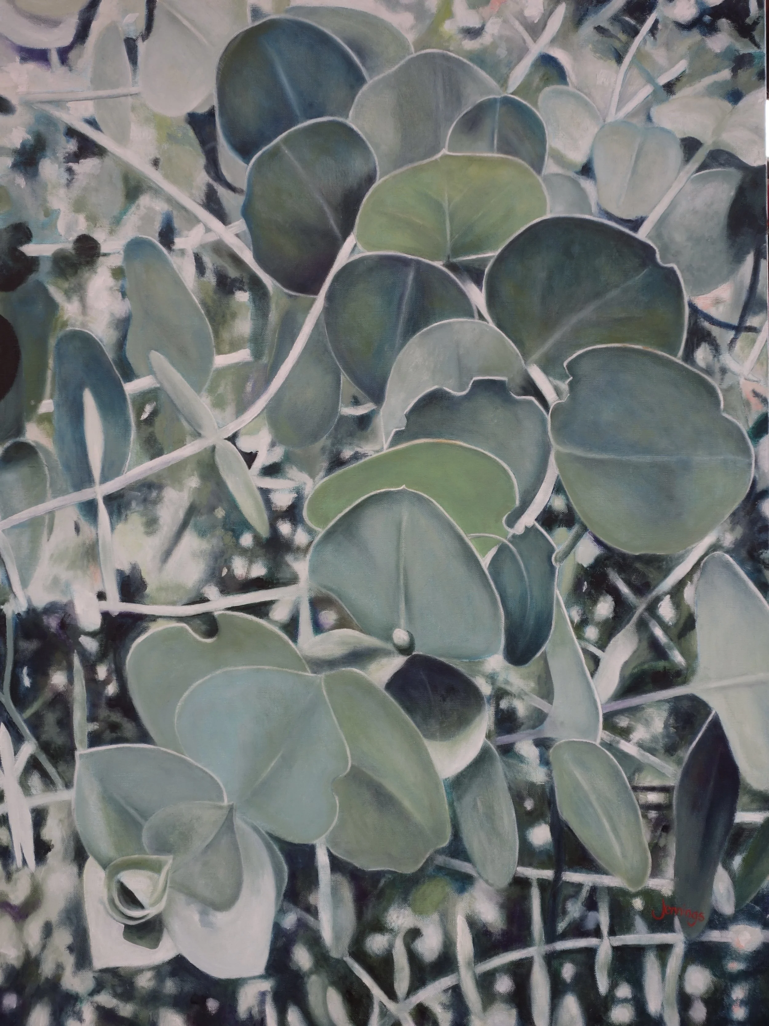 Blue Gum I.JPG