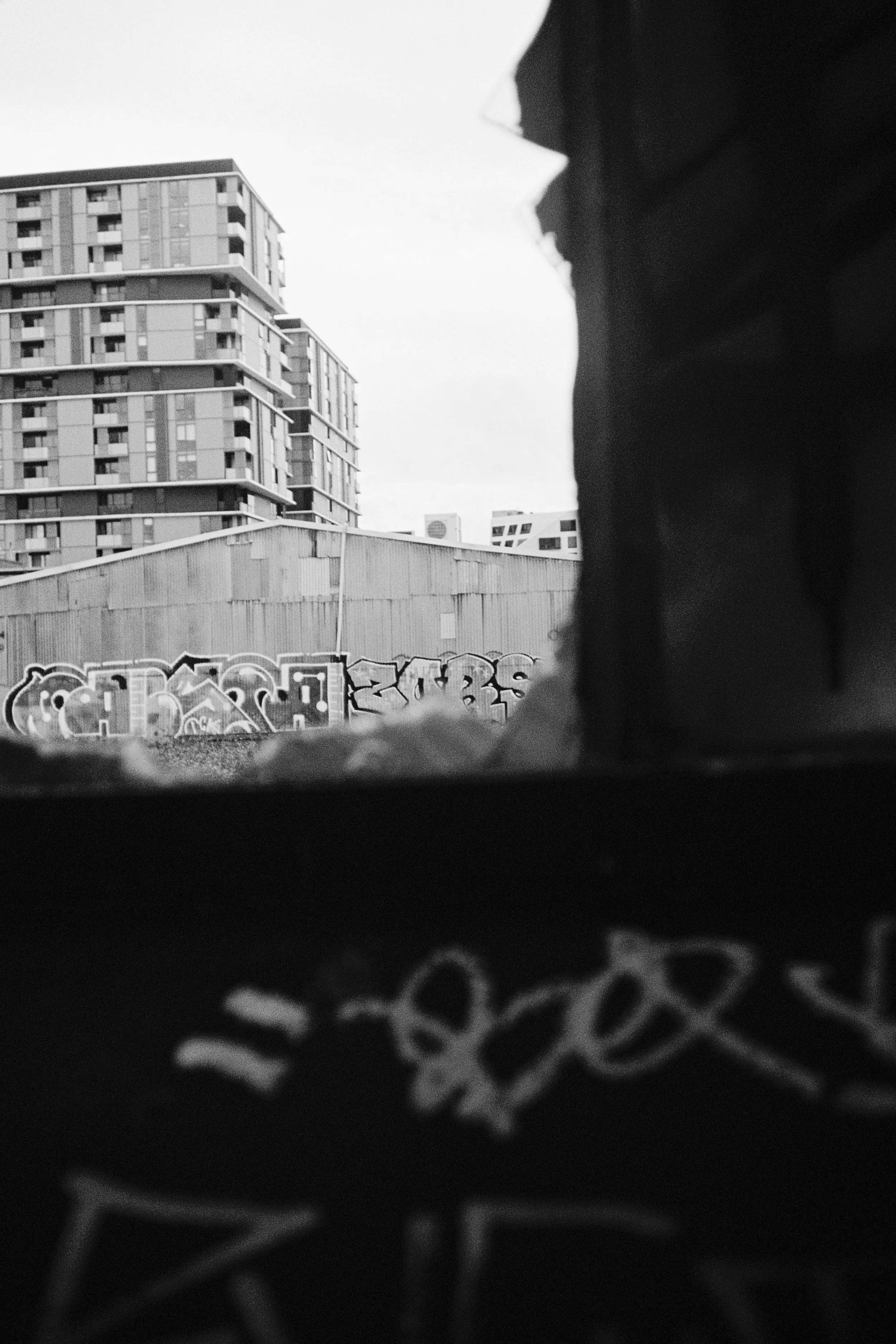 Untitled (Collingwood, #2)